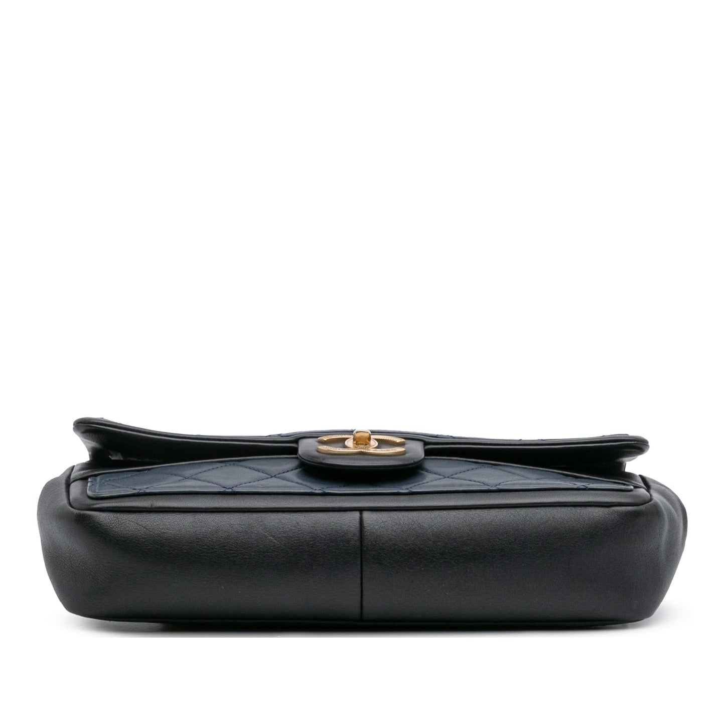 Chanel Medium Bicolor Calfskin Graphic Flap