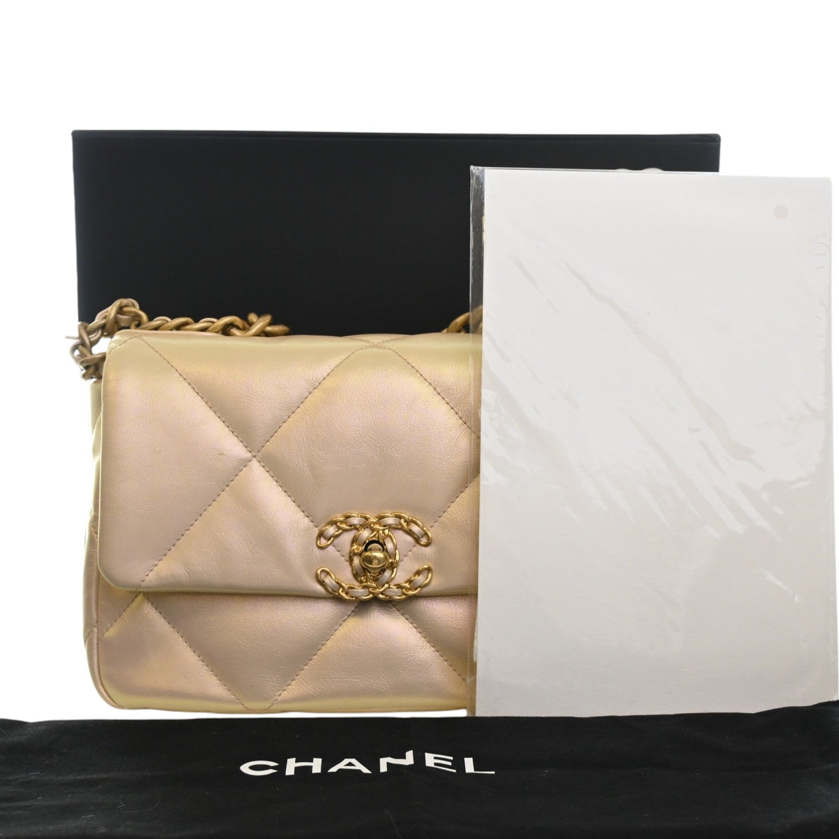 Chanel Medium Iridescent Lambskin 19 Flap