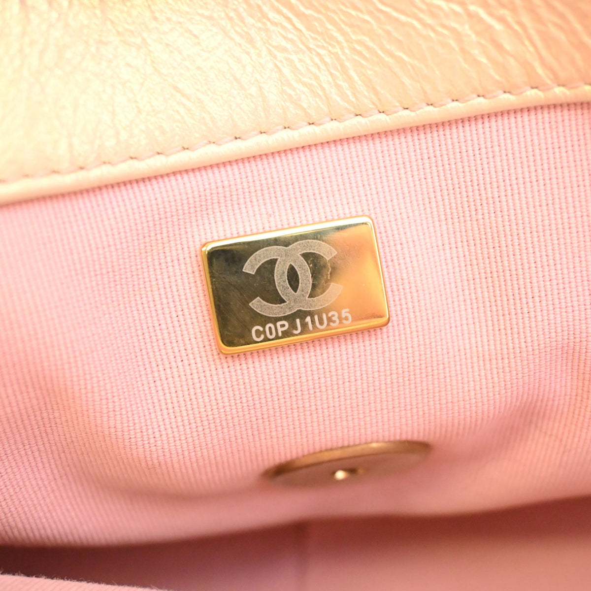 Chanel Medium Iridescent Lambskin 19 Flap