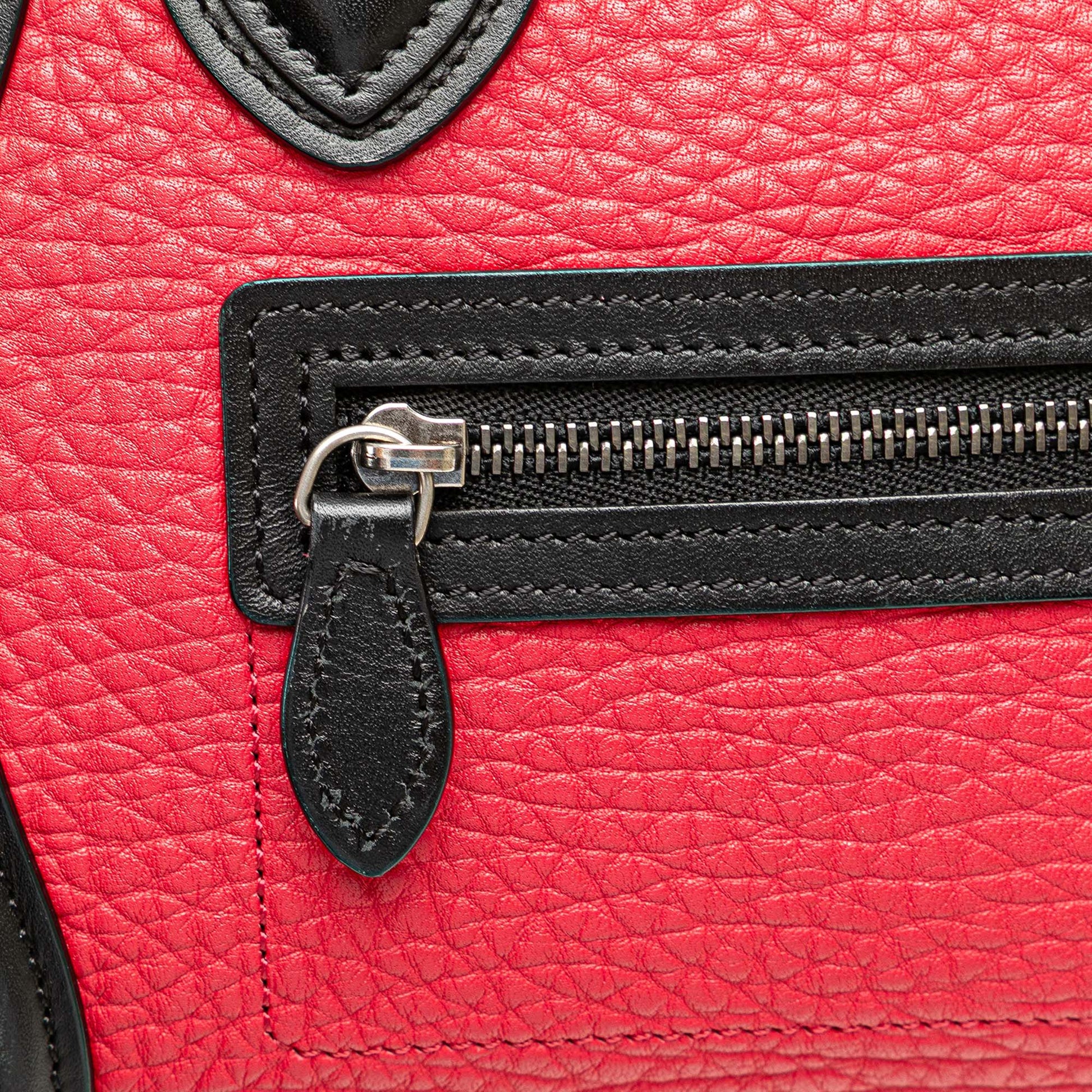 Celine Nano Tricolor Nubuck and Calfskin Luggage Tote