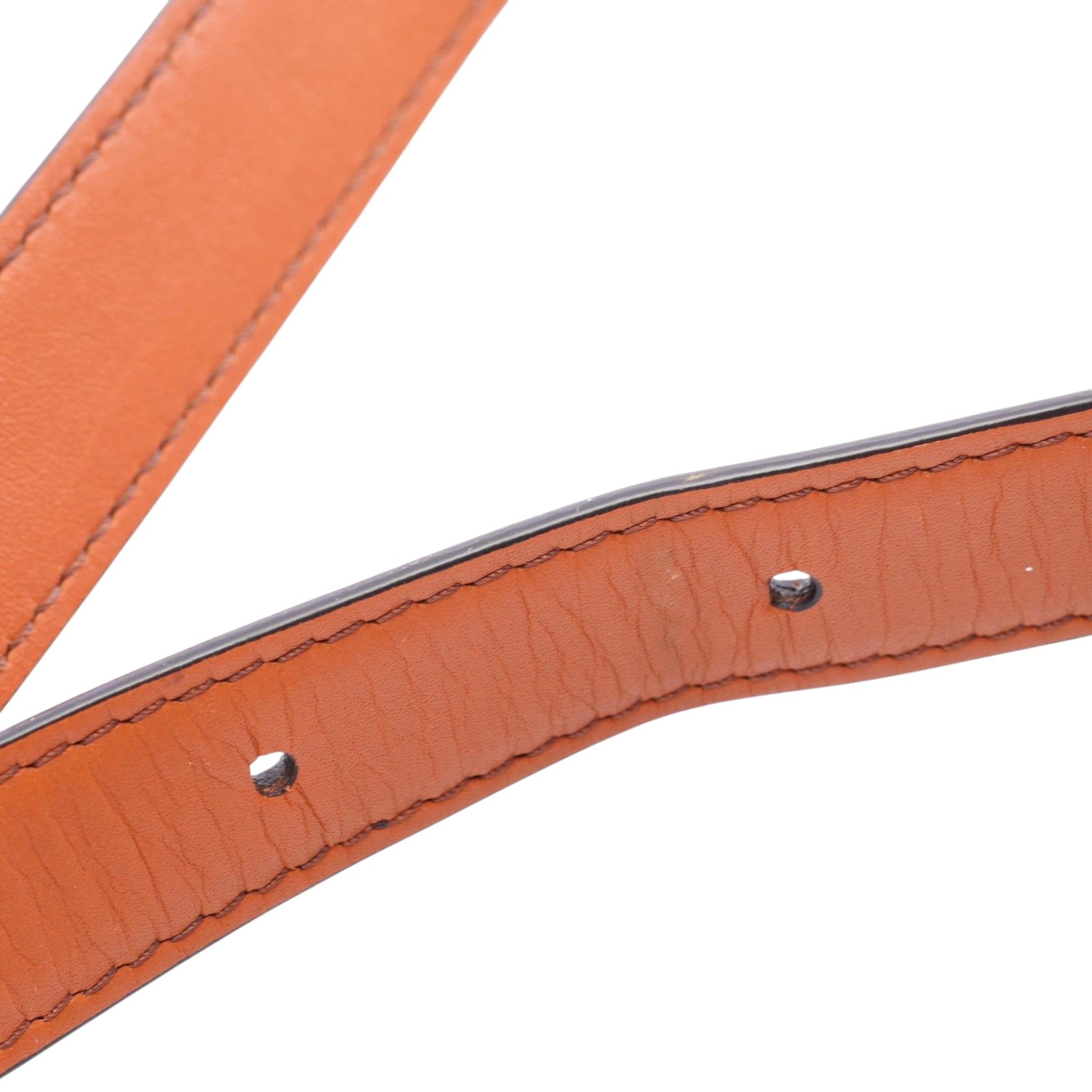 Celine Classique Canvas and Calfskin Triomphe Crossbody