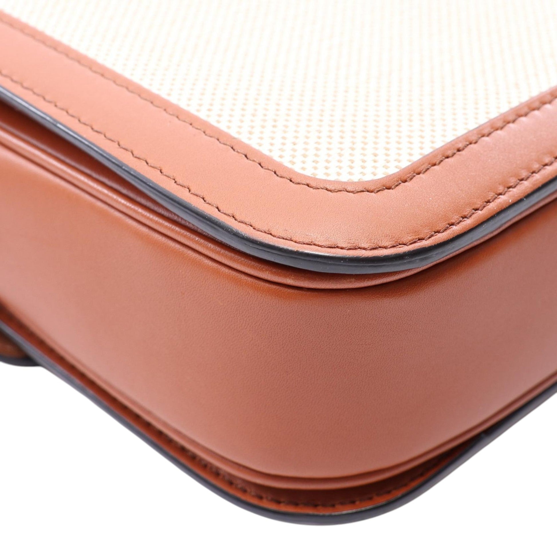 Celine Classique Canvas and Calfskin Triomphe Crossbody