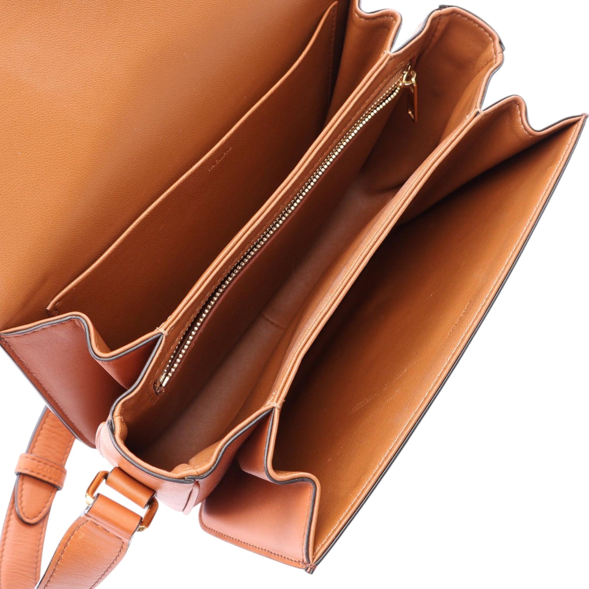 Celine Classique Canvas and Calfskin Triomphe Crossbody