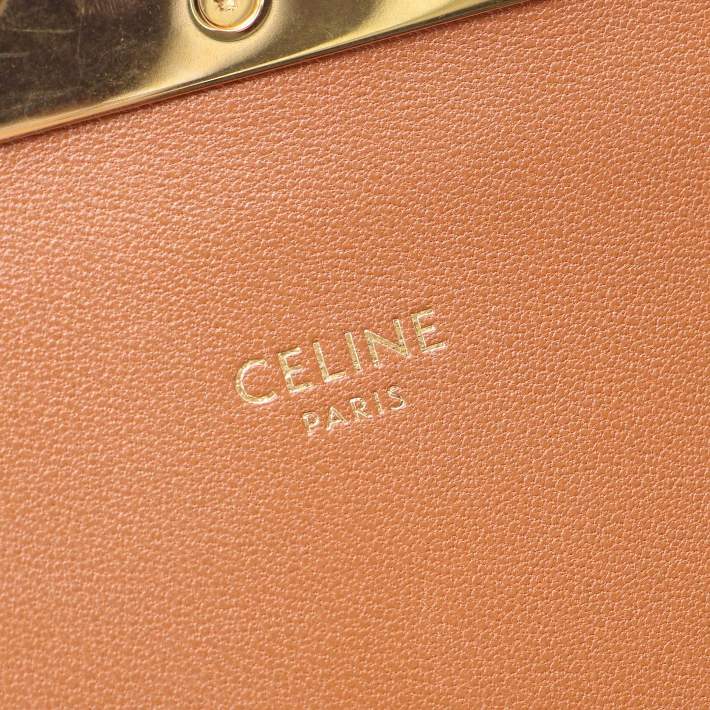 Celine Classique Canvas and Calfskin Triomphe Crossbody
