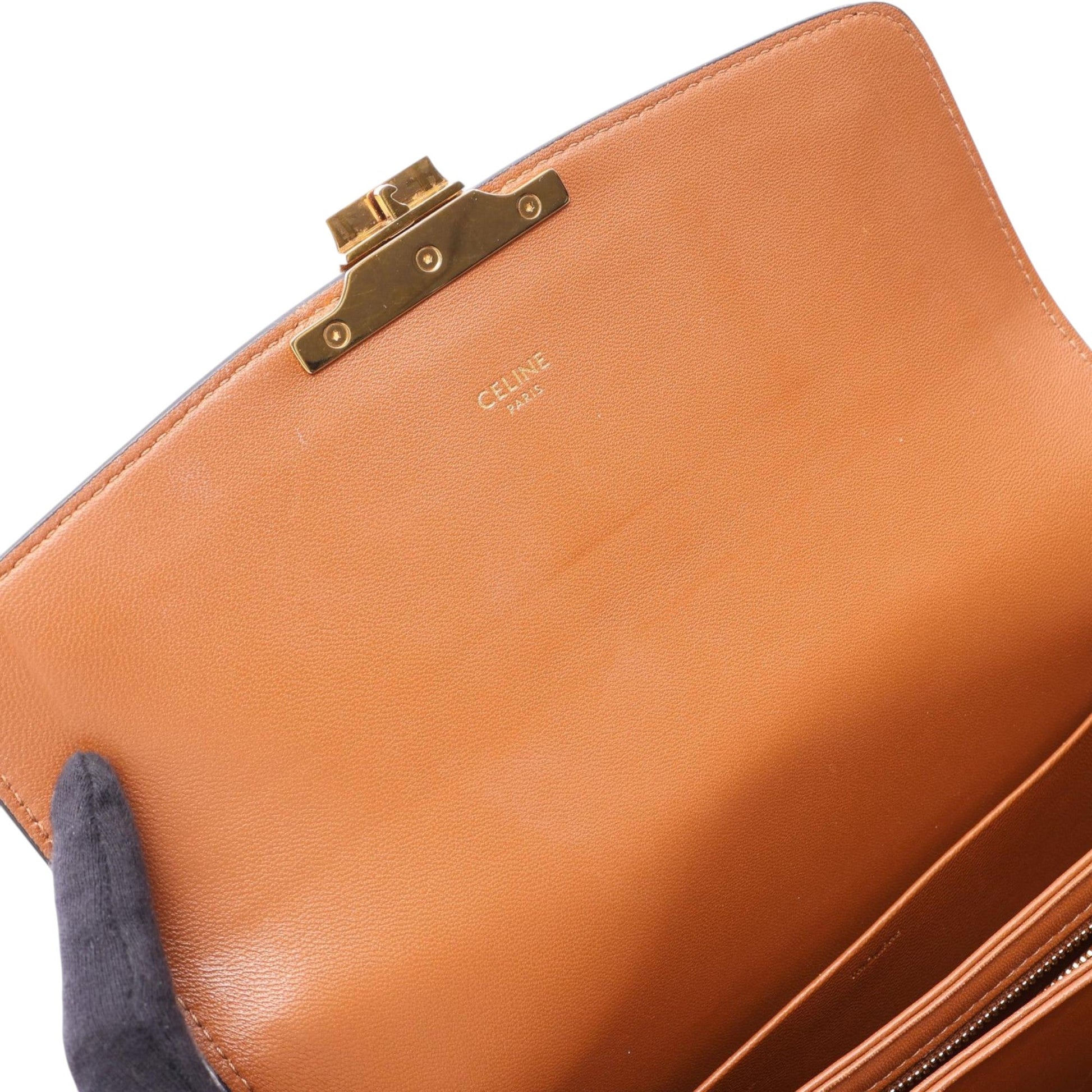 Celine Classique Canvas and Calfskin Triomphe Crossbody