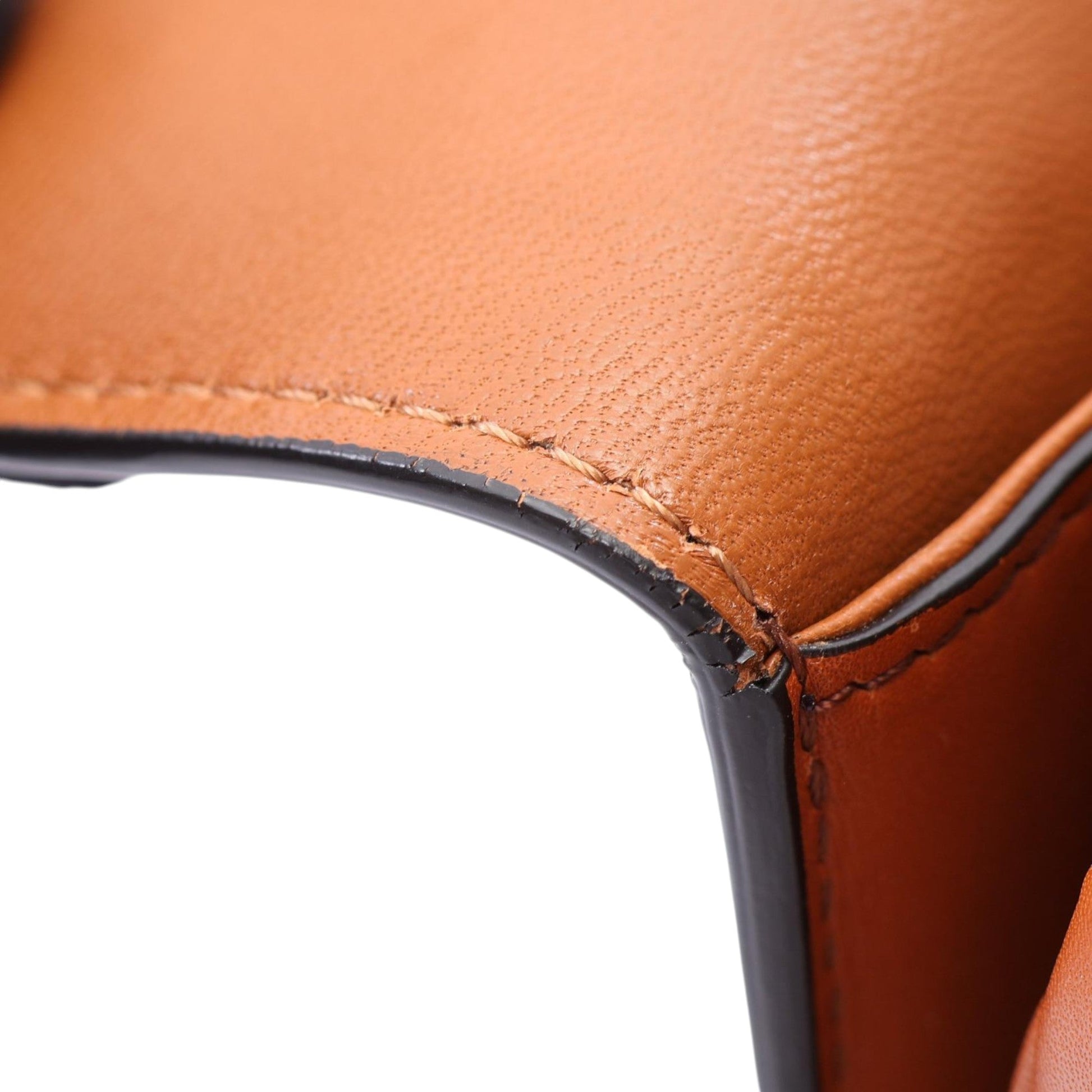 Celine Classique Canvas and Calfskin Triomphe Crossbody