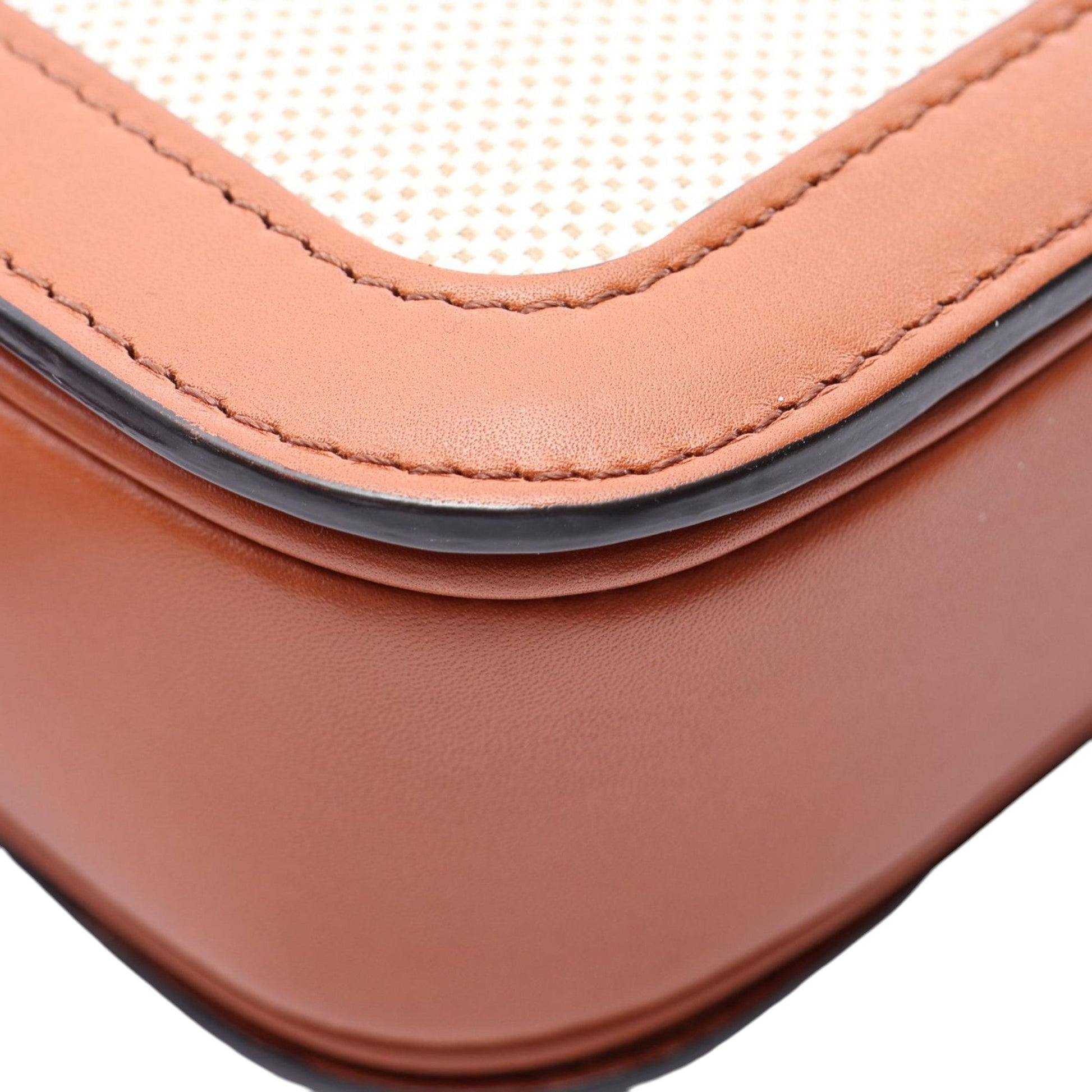 Celine Classique Canvas and Calfskin Triomphe Crossbody