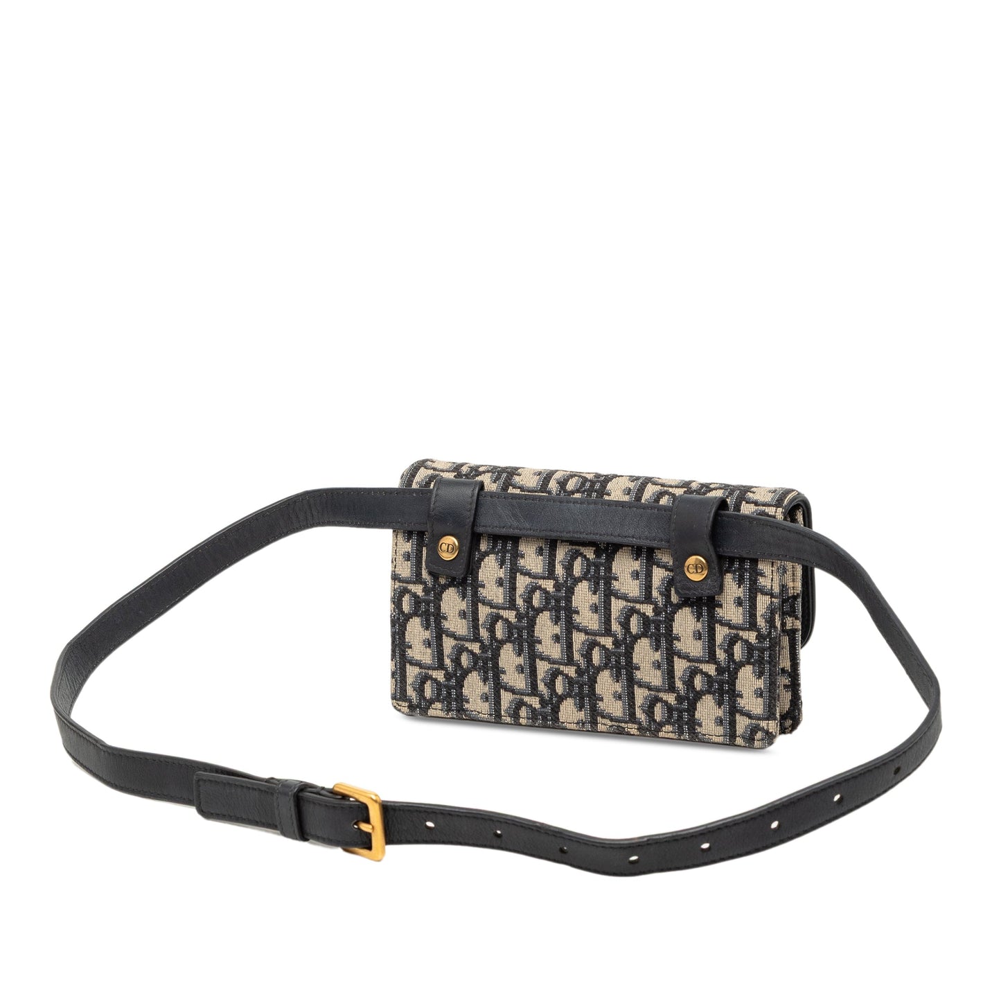 Dior Oblique Canvas Saddle Belt Bag
