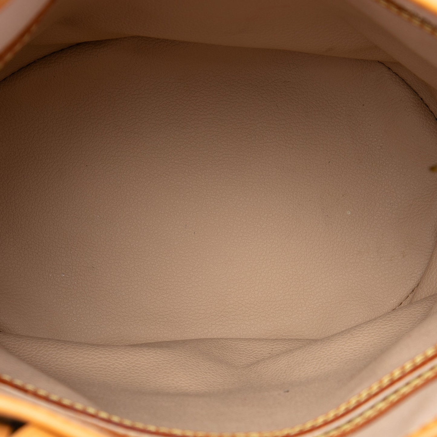 Louis Vuitton Monogram Petit Bucket