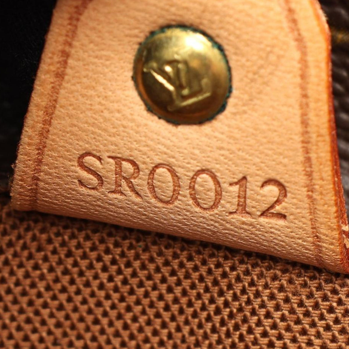Louis Vuitton Monogram Vavin GM