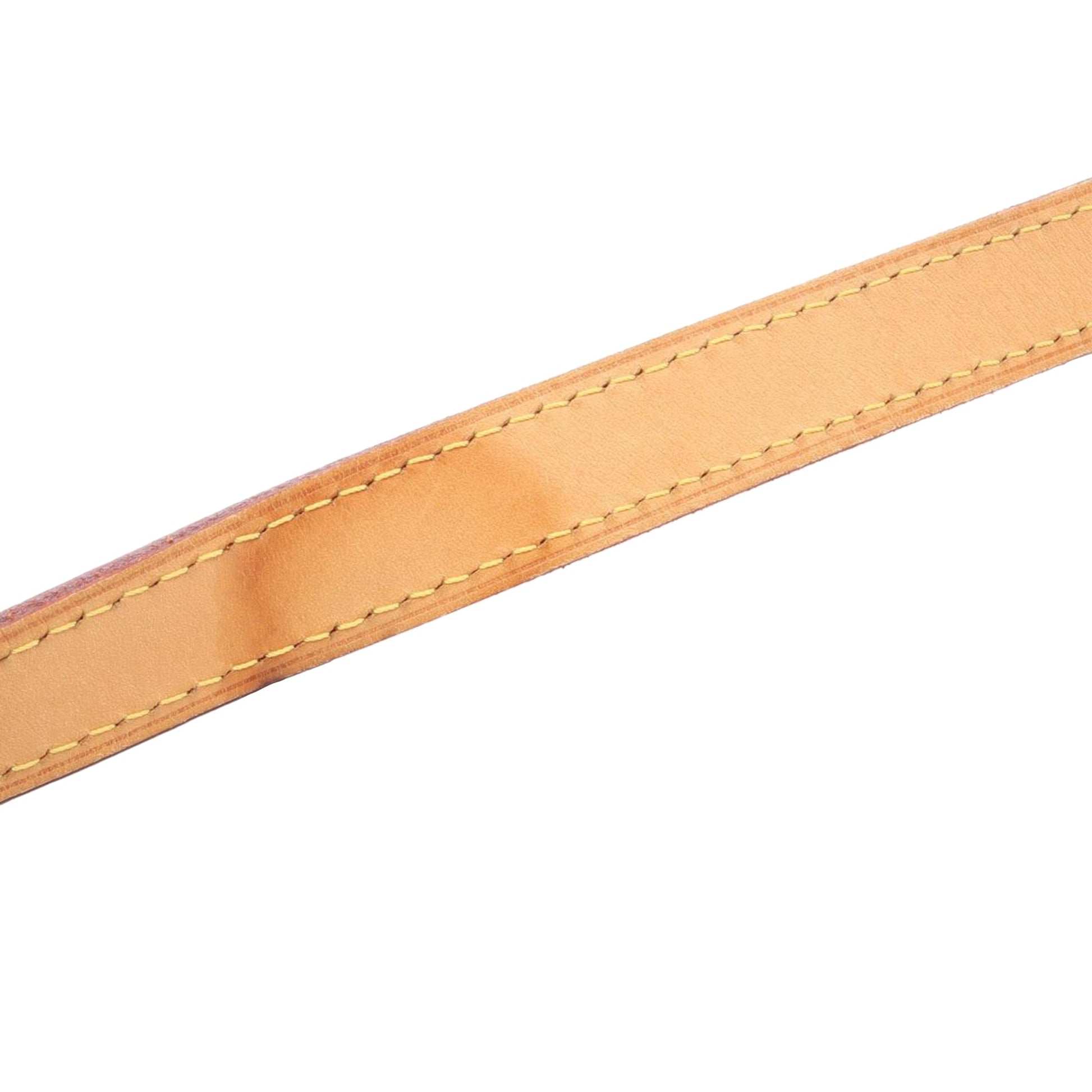 Louis Vuitton Monogram Odeon MM