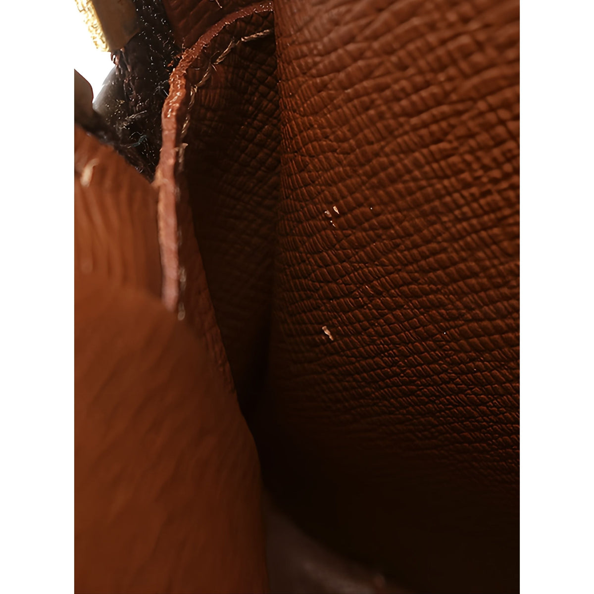 Louis Vuitton Monogram Amazone — Brown