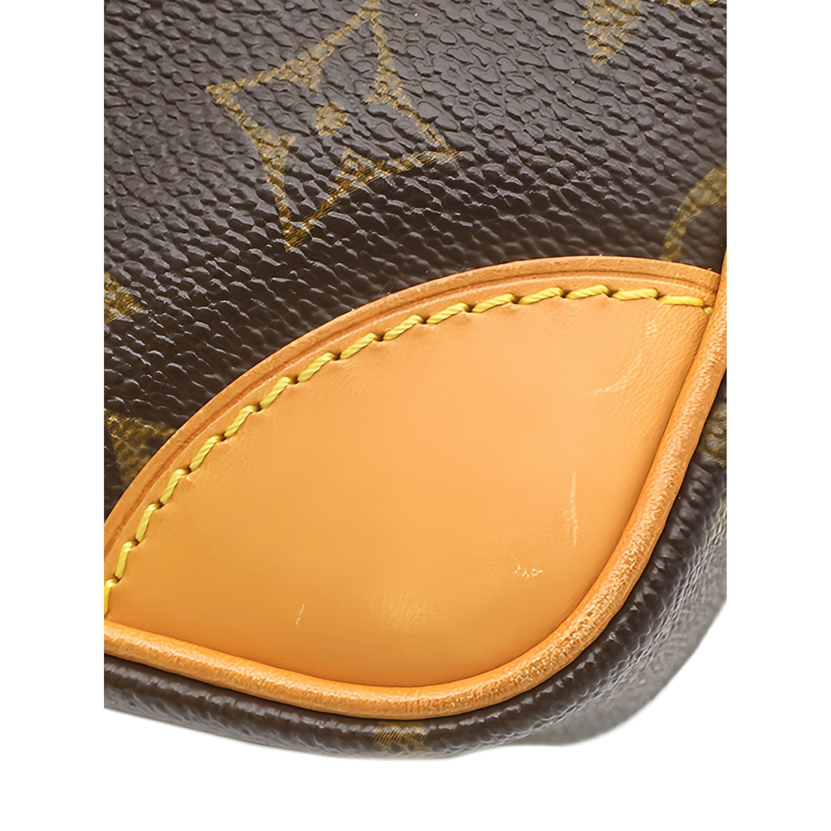 Louis Vuitton Monogram Amazone — Brown