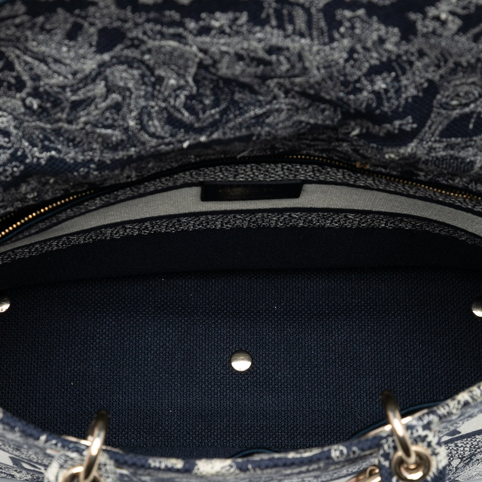 Dior Large Embroidered Canvas Toile de Jouy Lady D Lite