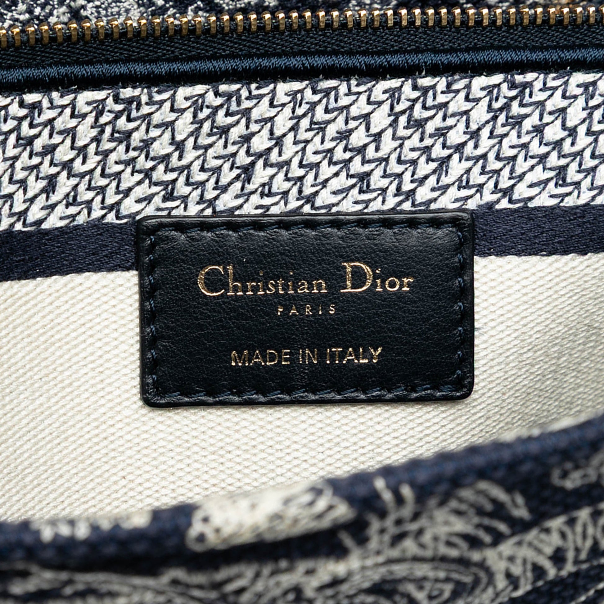 Dior Large Embroidered Canvas Toile de Jouy Lady D Lite