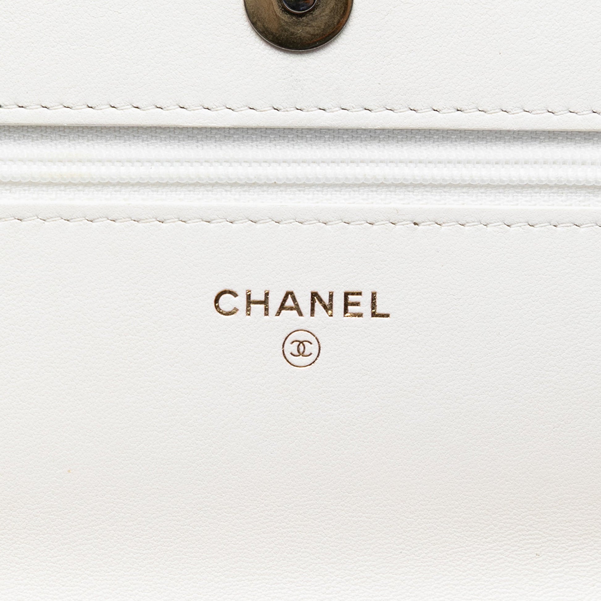 Quilted Lambskin 19 Wallet on Chain