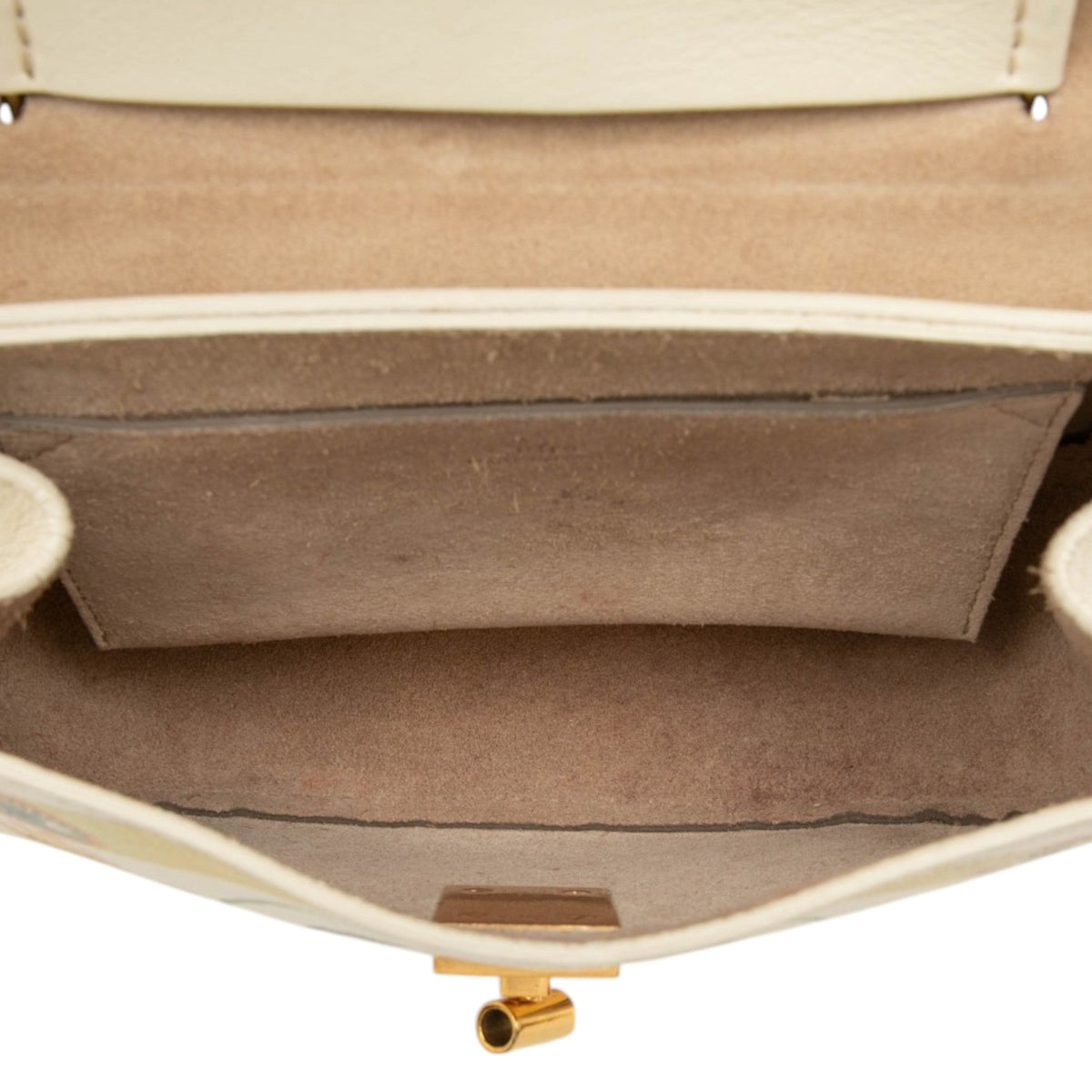 Chloé Mini Printed Leather Drew Bijou Satchel