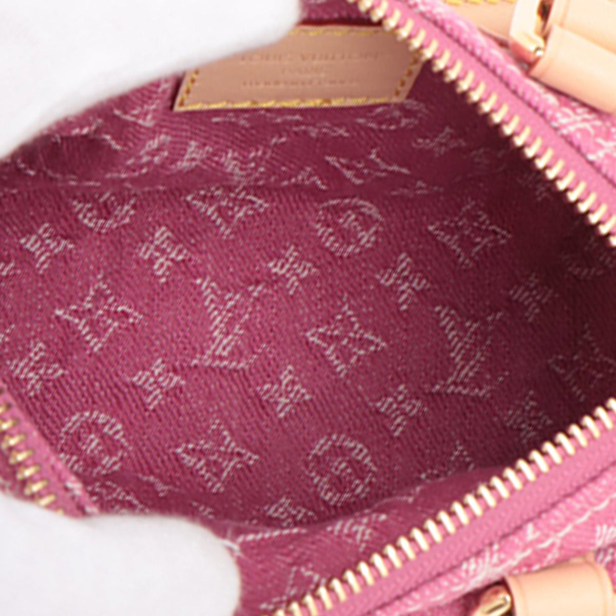Louis Vuitton Monogram Denim Nano Speedy