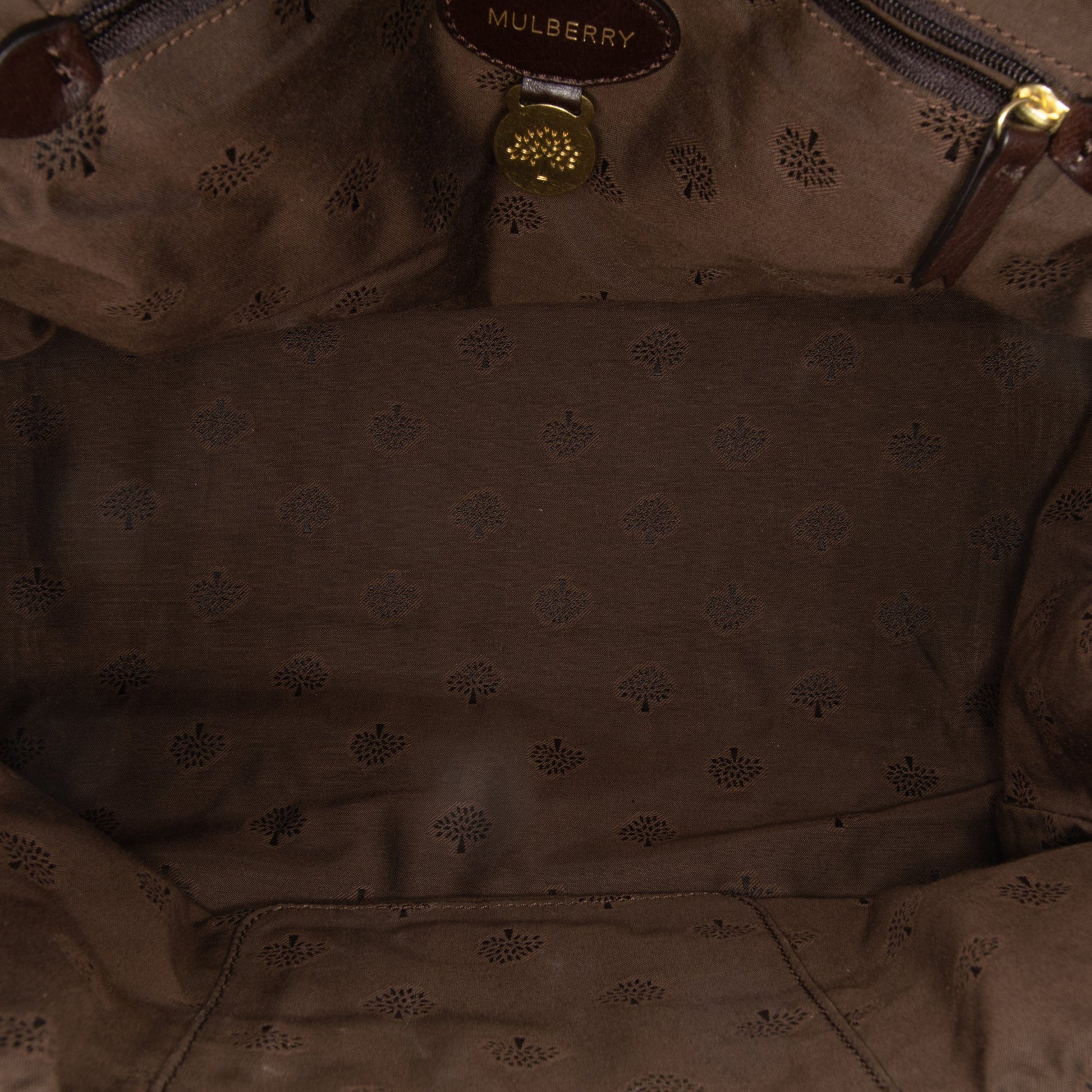 Mulberry Calfskin Alexa Satchel