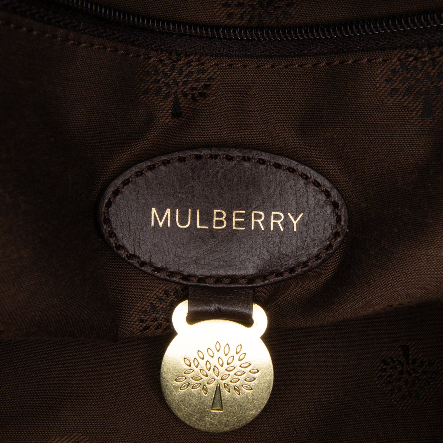 Mulberry Calfskin Alexa Satchel