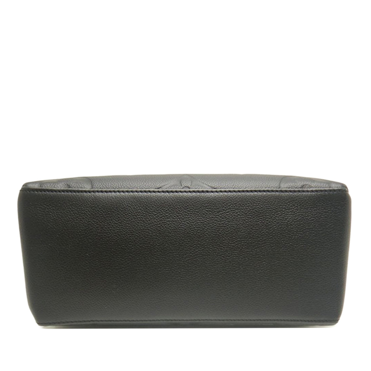 Louis Vuitton Monogram Empreinte Giant Petit Palais