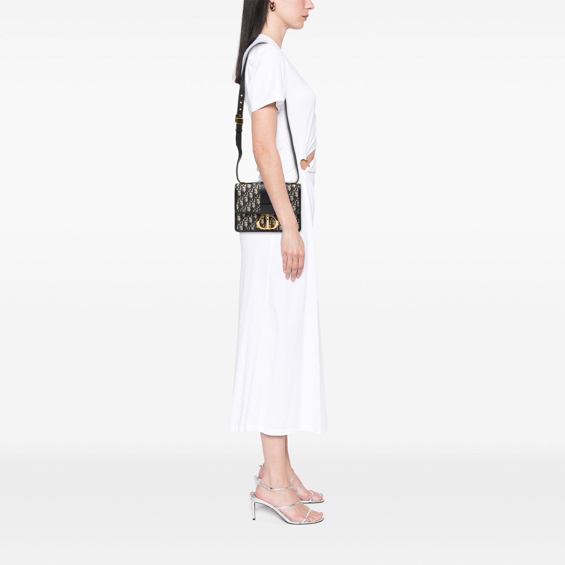 Dior Oblique Canvas 30 Montaigne Flap