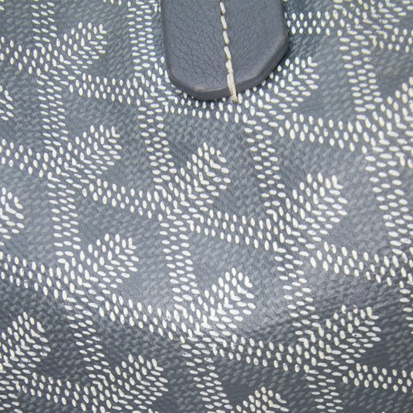 Goyard Goyardine Saint Louis PM