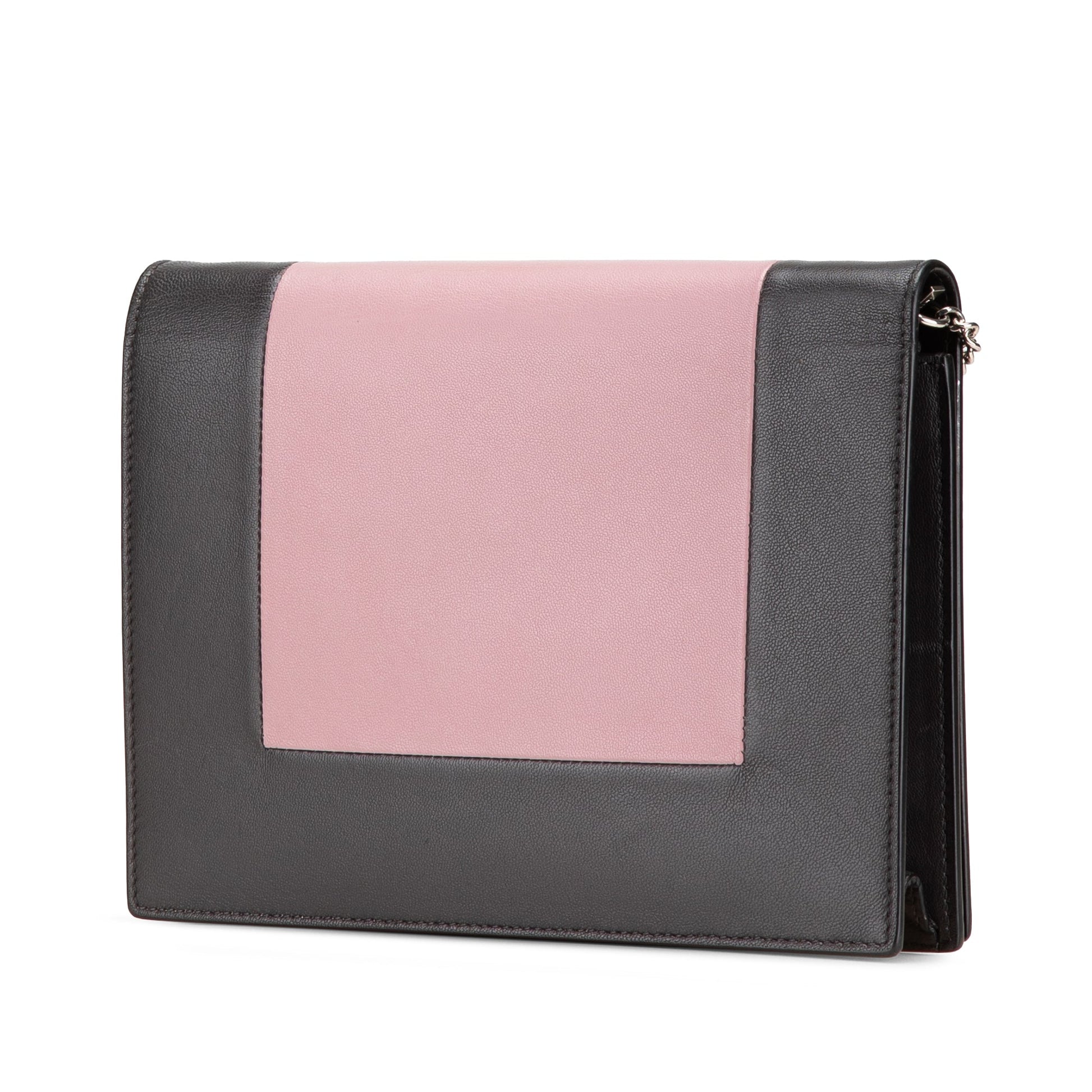 Celine Leather Frame Wallet on Chain