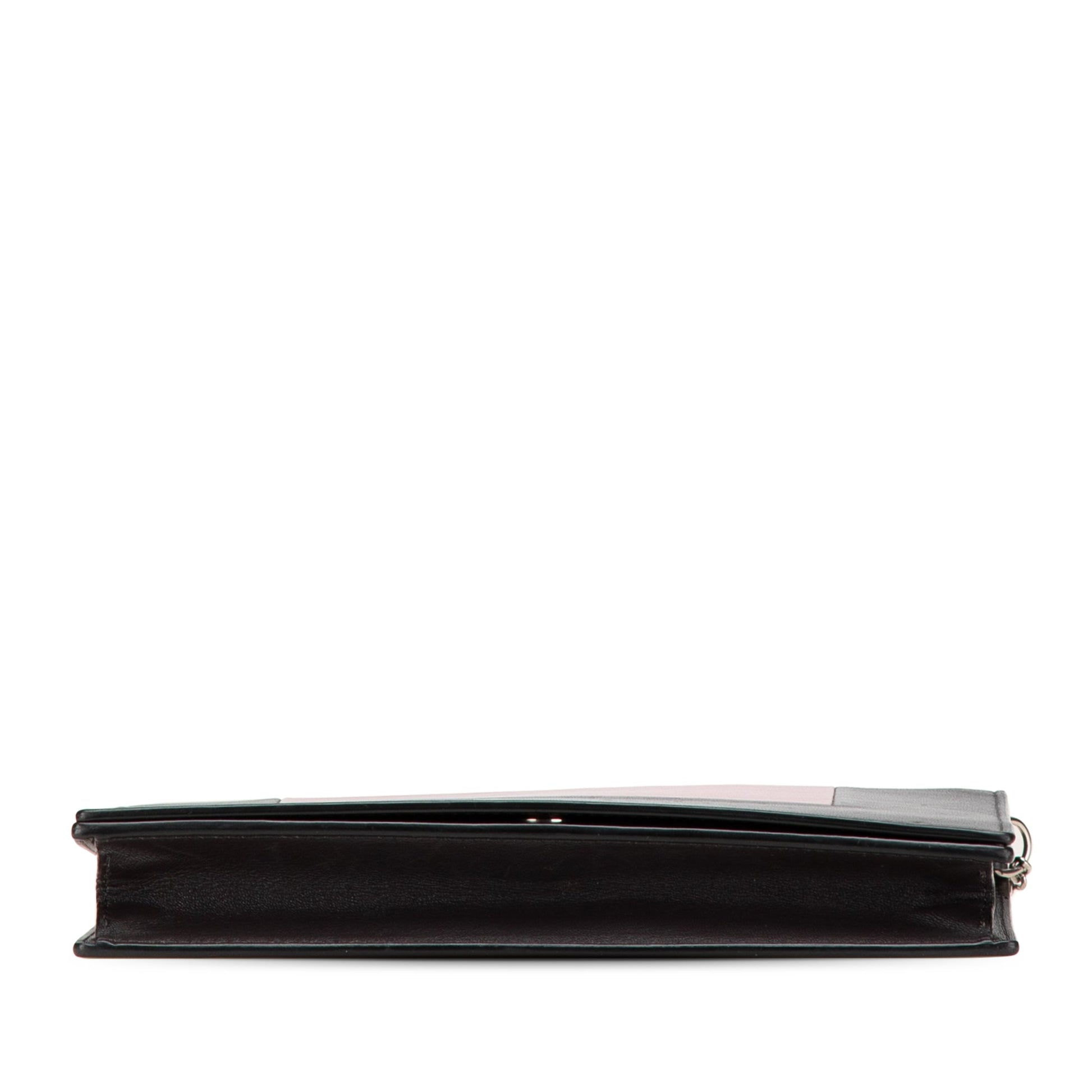 Celine Leather Frame Wallet on Chain