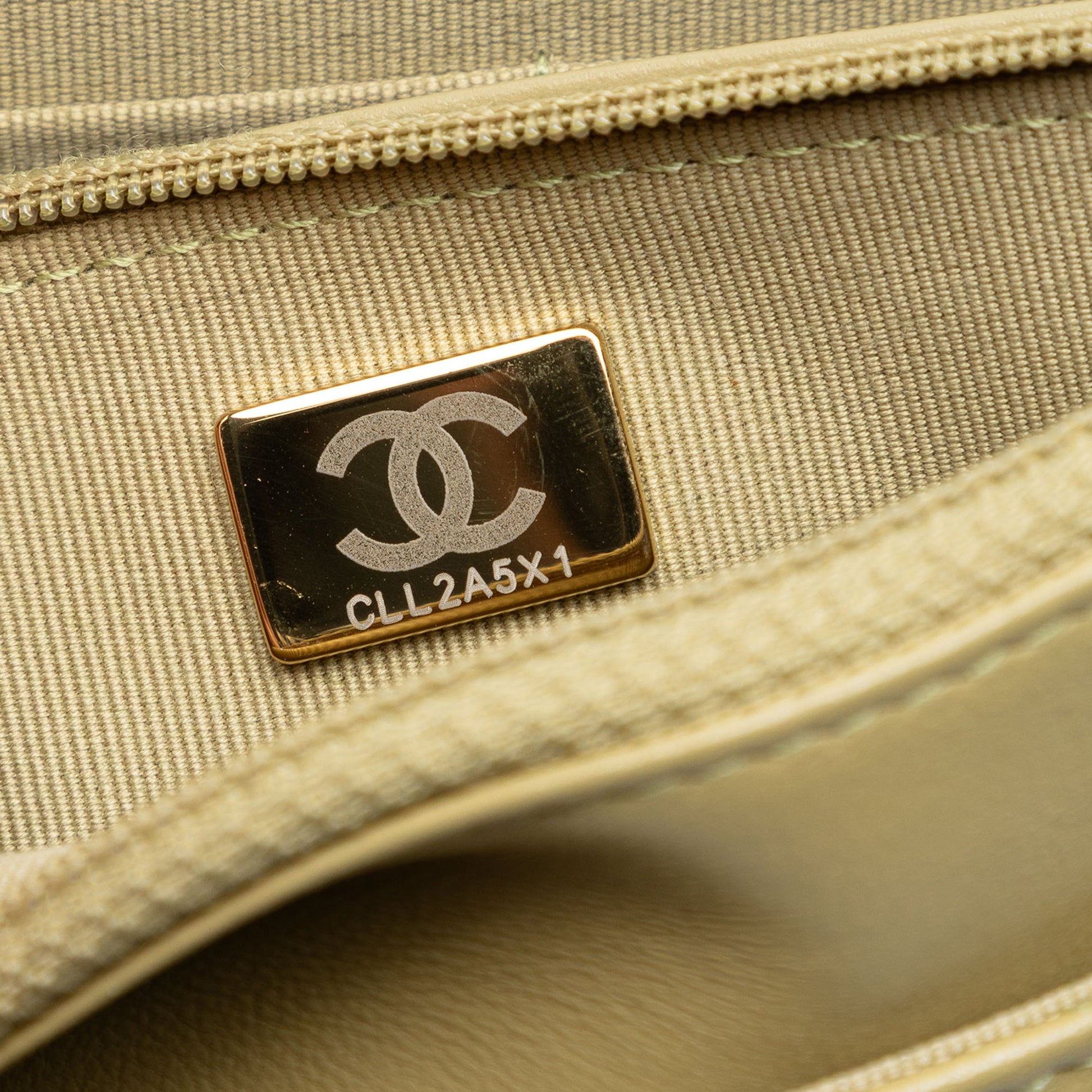 Chanel Quilted Lambskin 19 Wallet on Chain