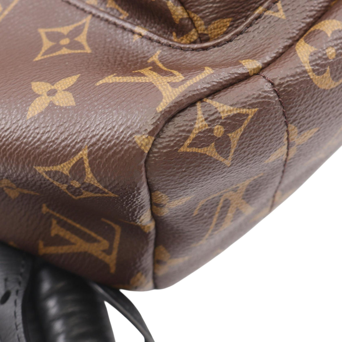 Louis Vuitton Monogram Palm Springs MM