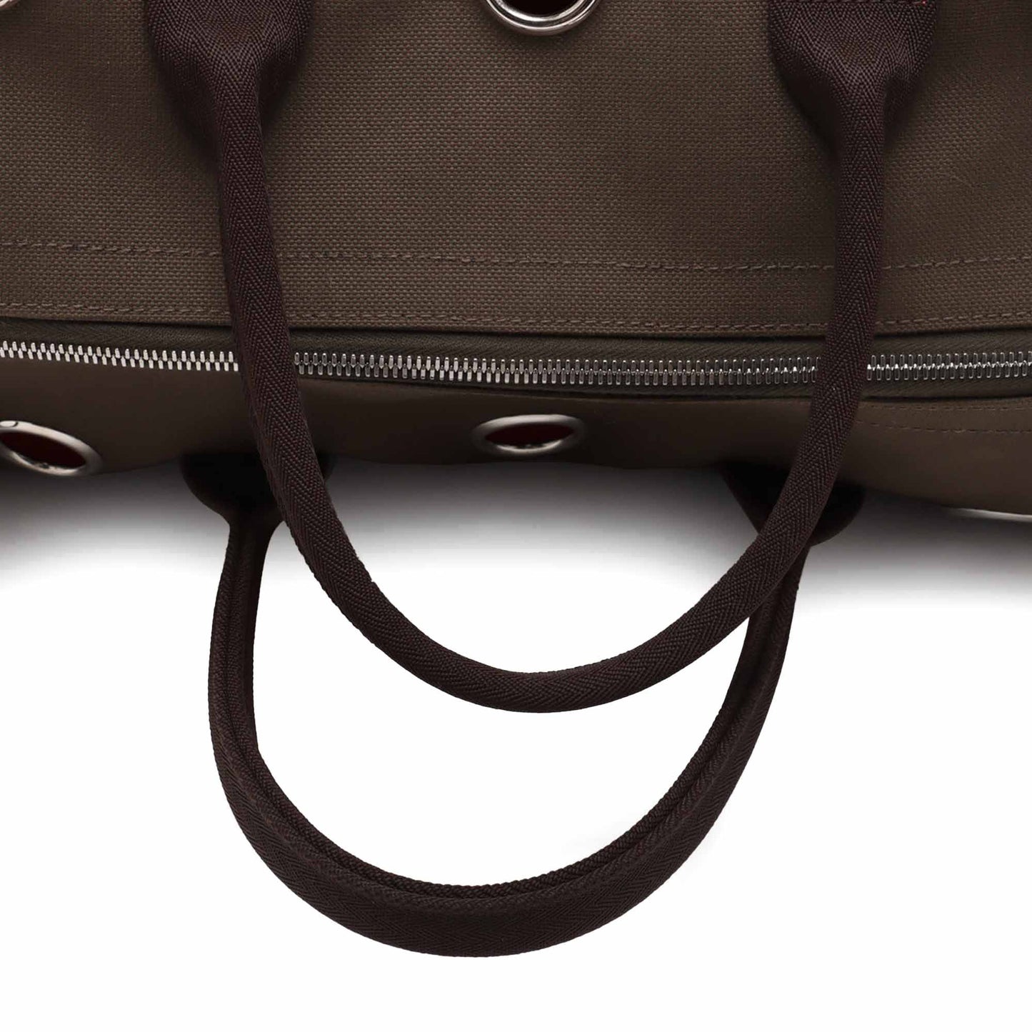 Hermès Toile Military Dog Carrier