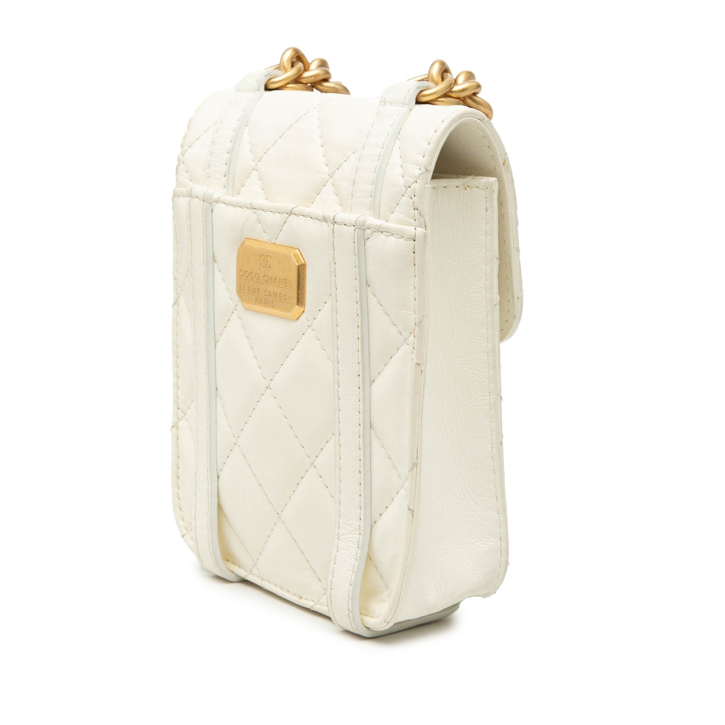 Mini Aged Calfskin City School Flap