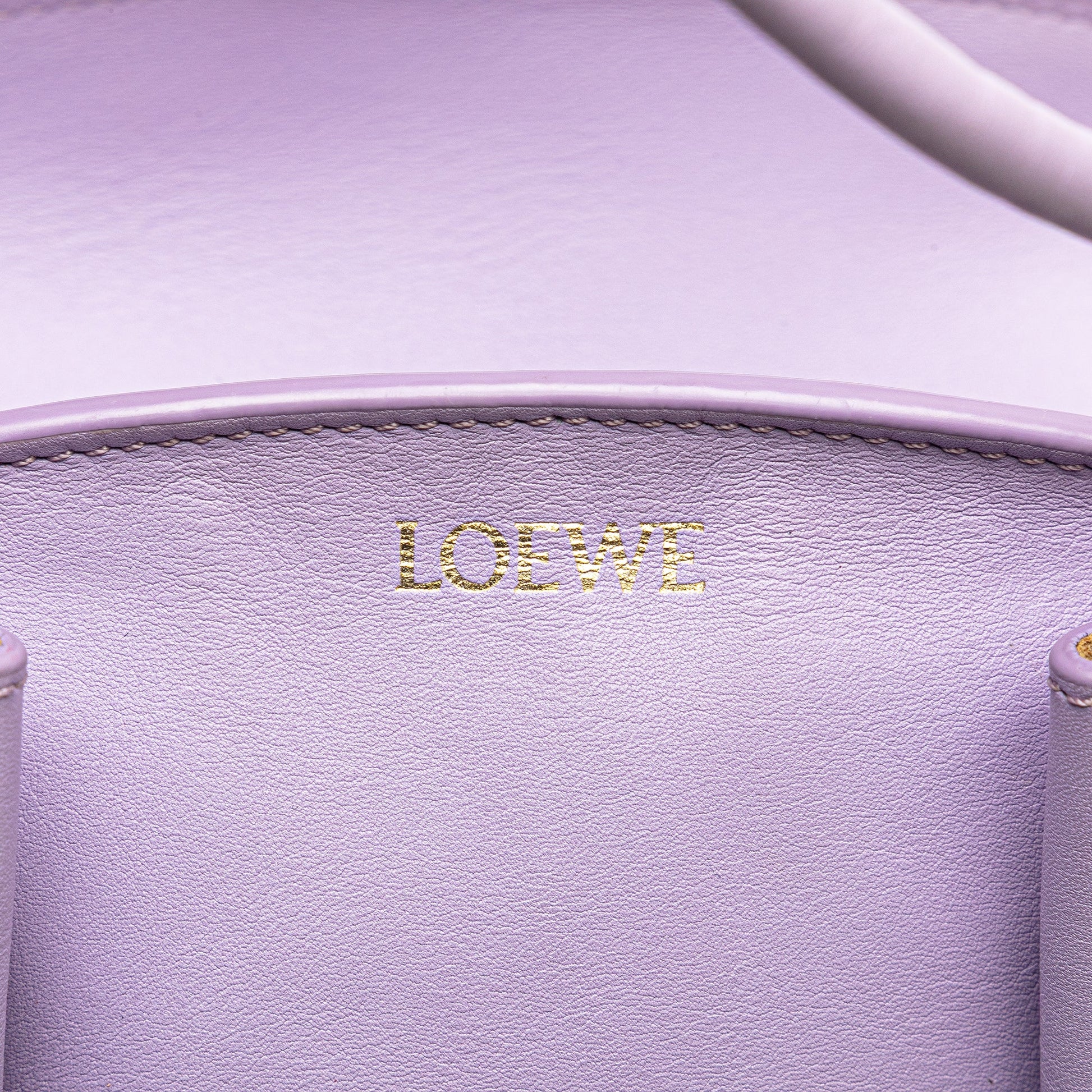 LOEWE Small Shiny Calfskin Paseo Satchel