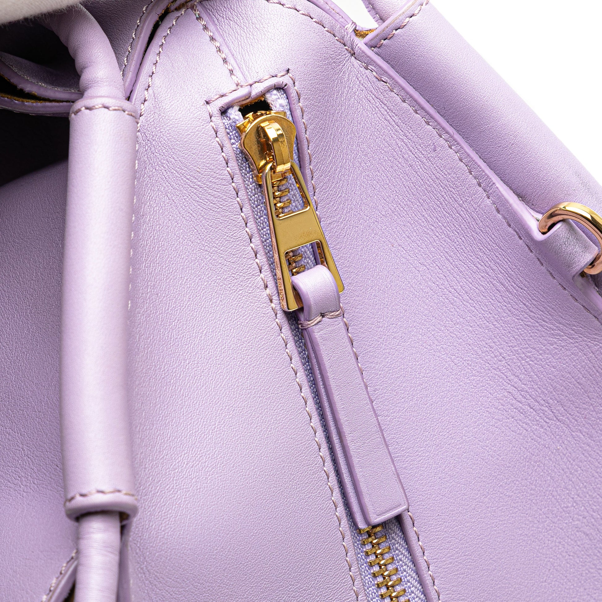 LOEWE Small Shiny Calfskin Paseo Satchel