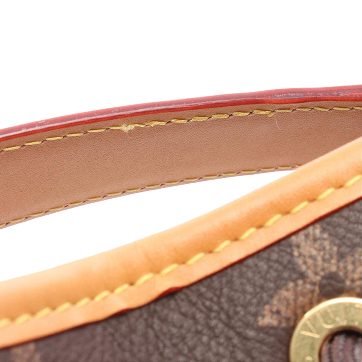 Louis Vuitton Monogram Noe Cargo — Brown