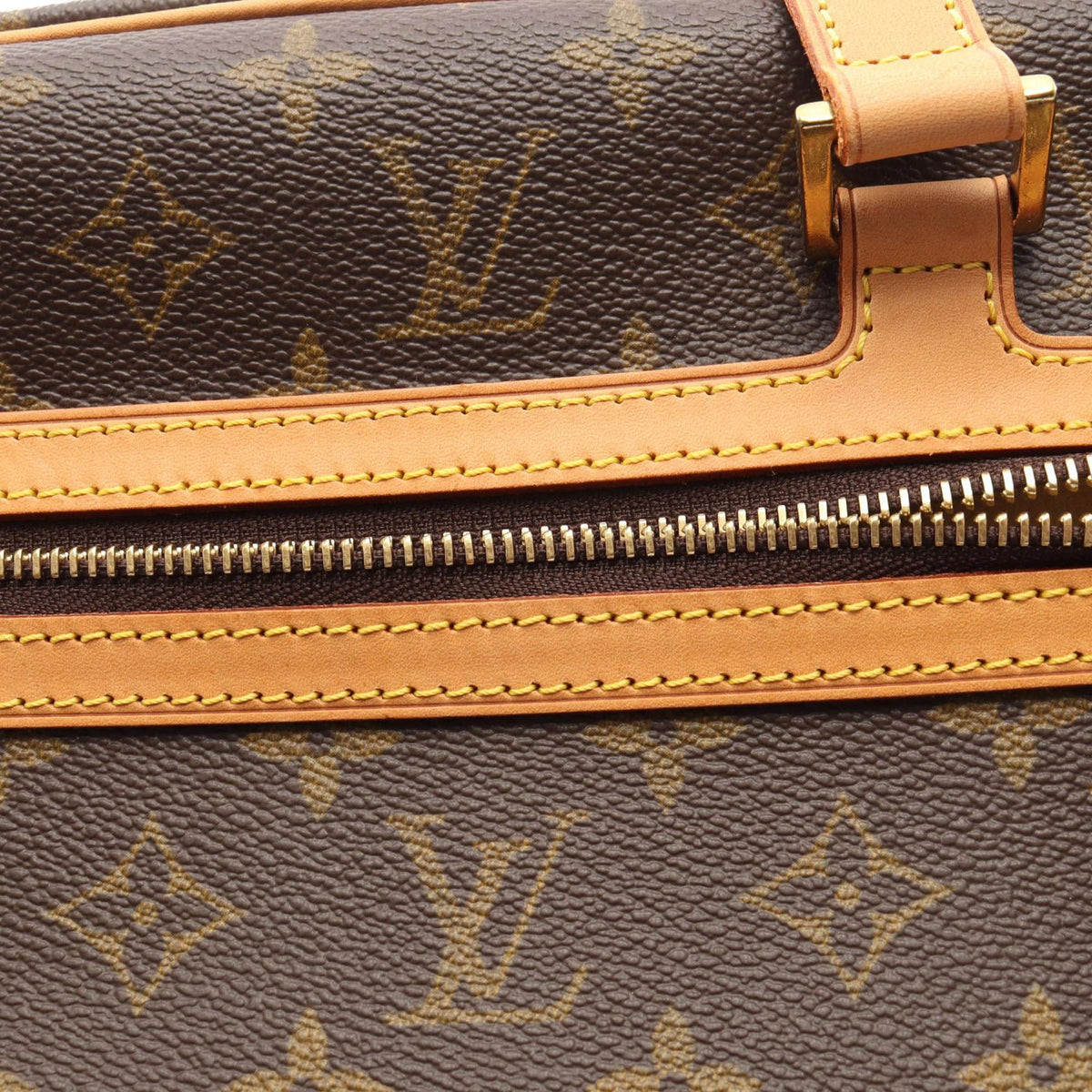 Louis Vuitton Monogram Cite GM