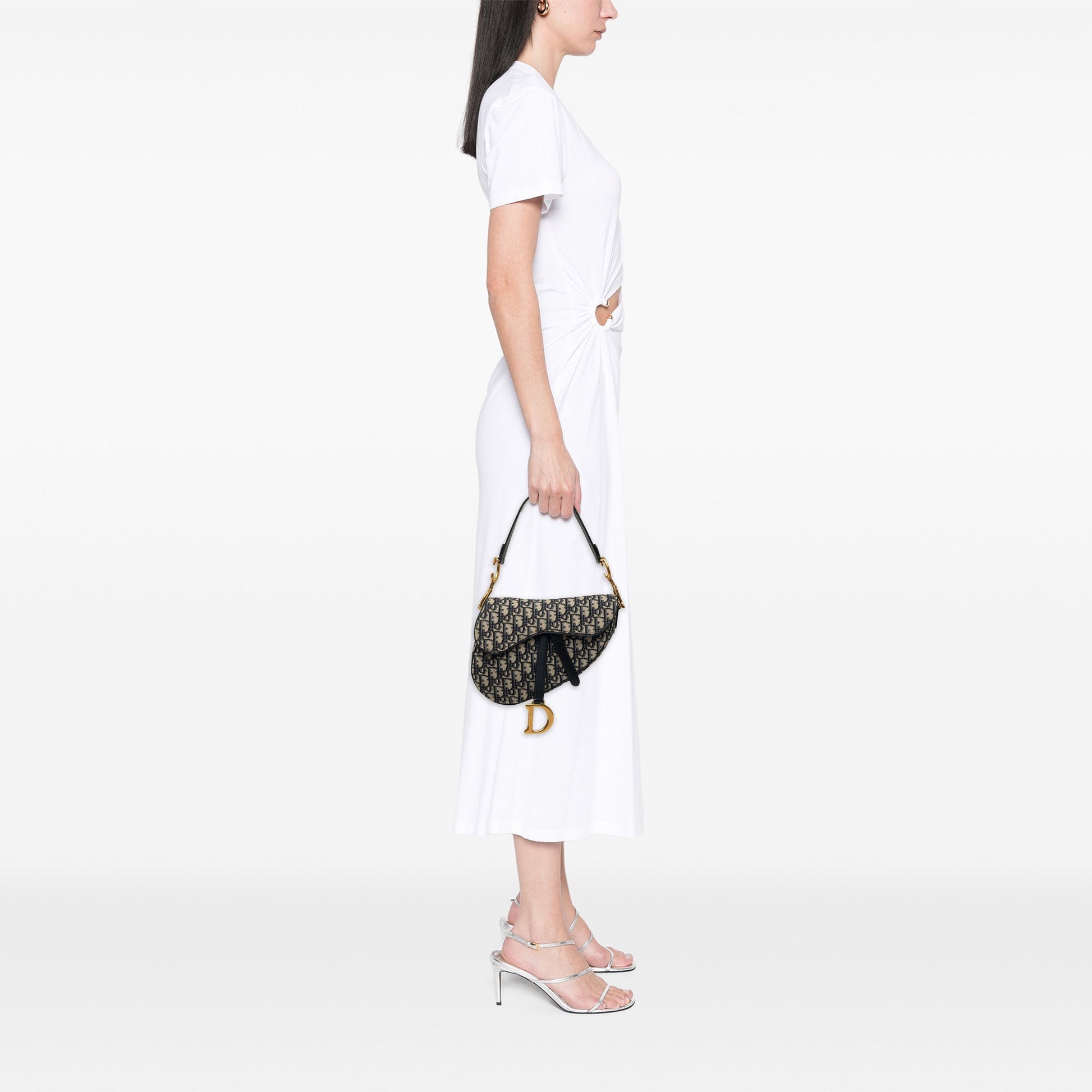 Dior Oblique Canvas Saddle Bag