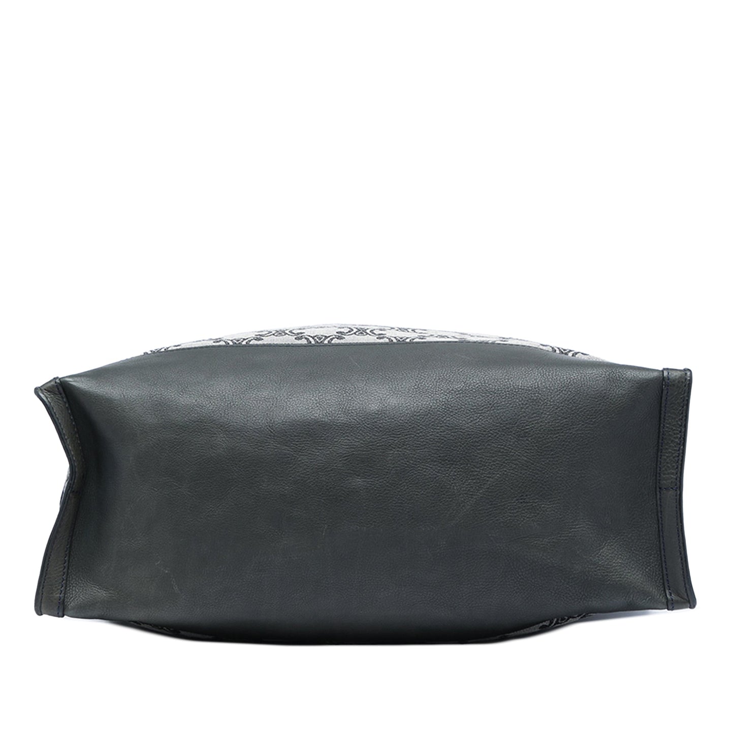 Celine Triomphe Canvas Vertical Tote