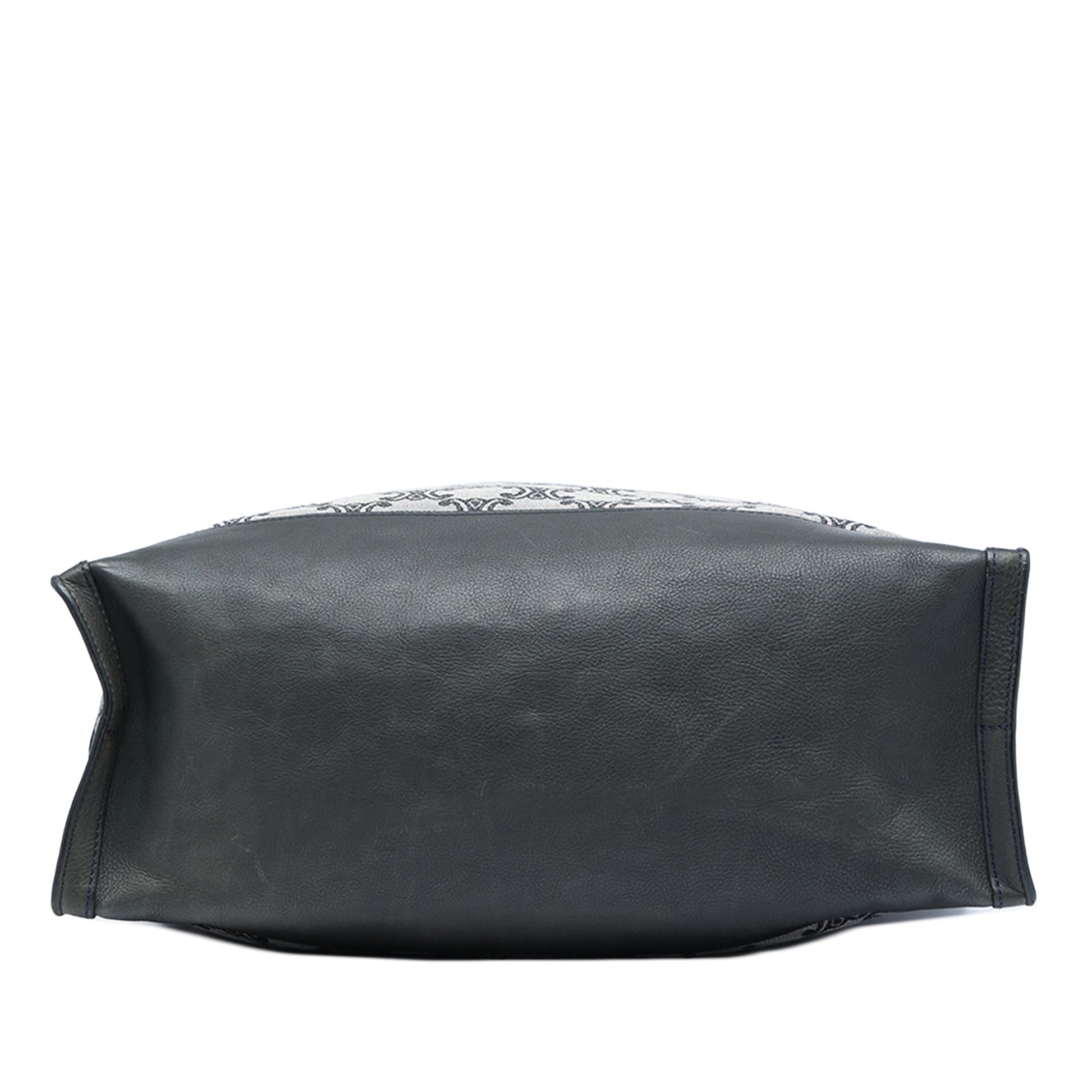 Celine Triomphe Canvas Vertical Tote
