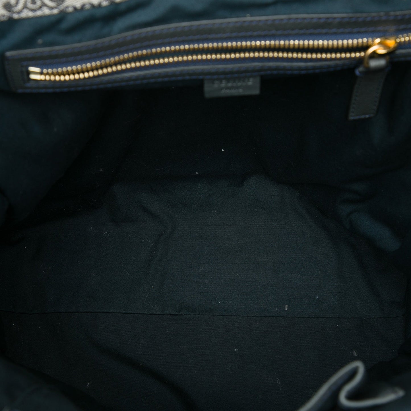 Celine Triomphe Canvas Vertical Tote