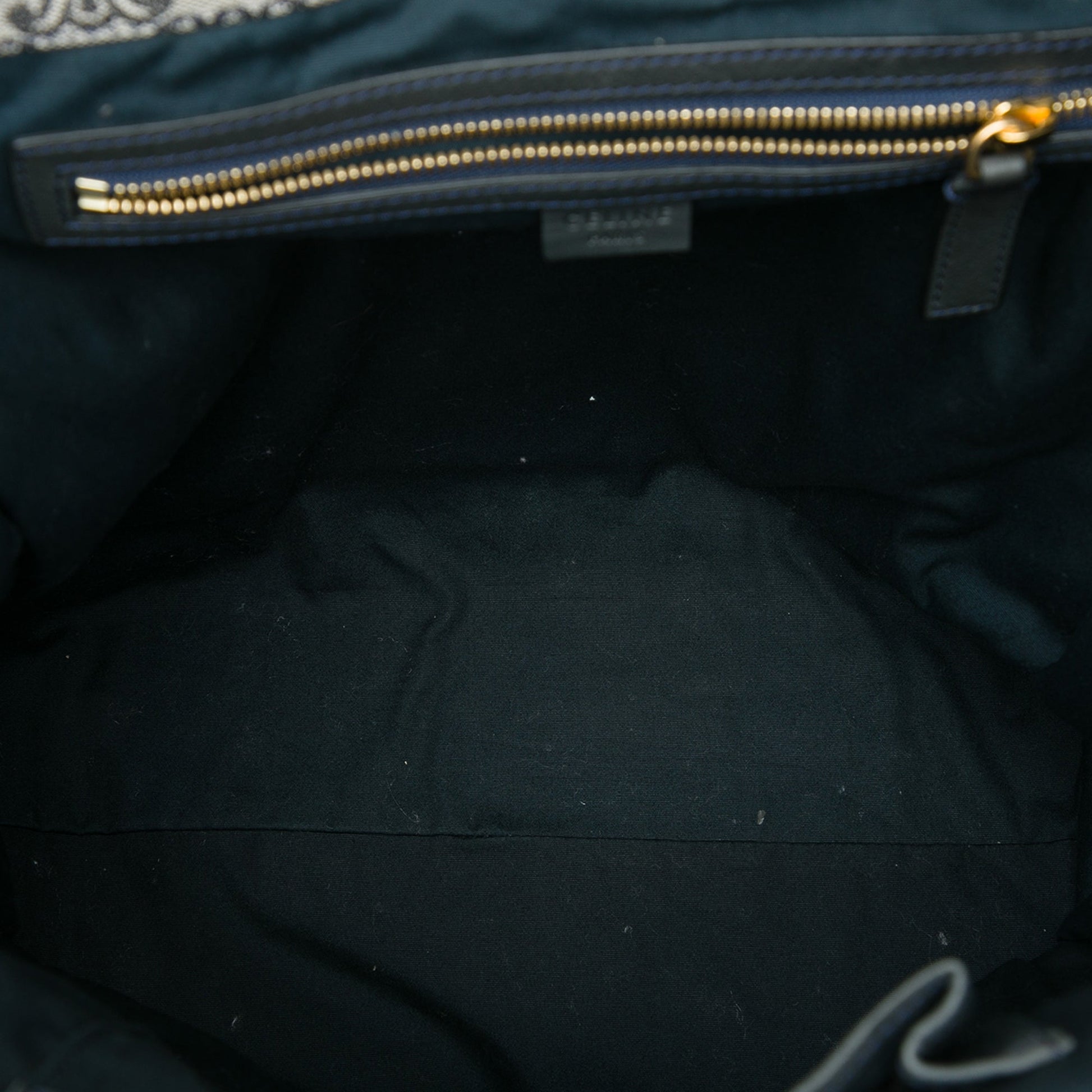 Celine Triomphe Canvas Vertical Tote
