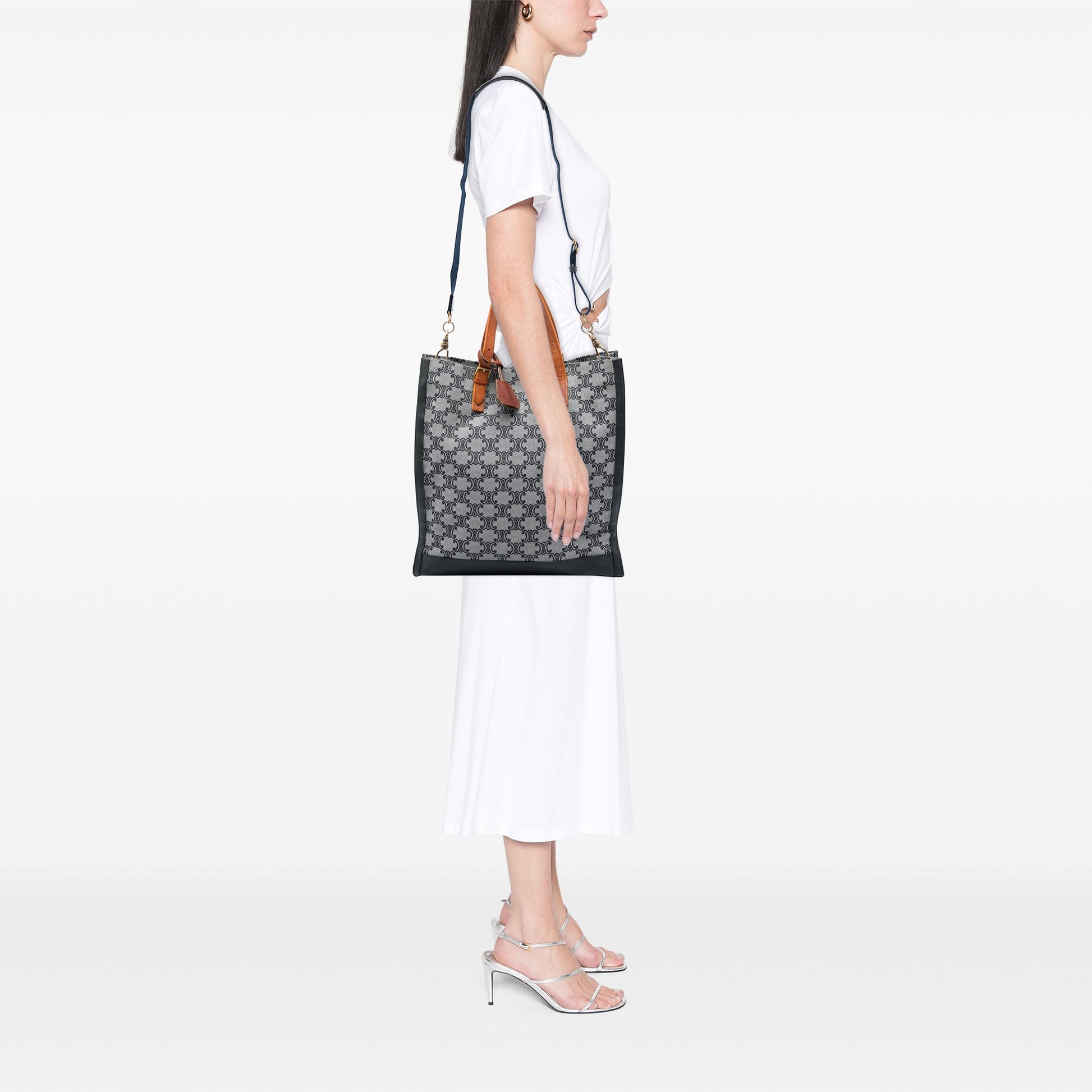 Celine Triomphe Canvas Vertical Tote