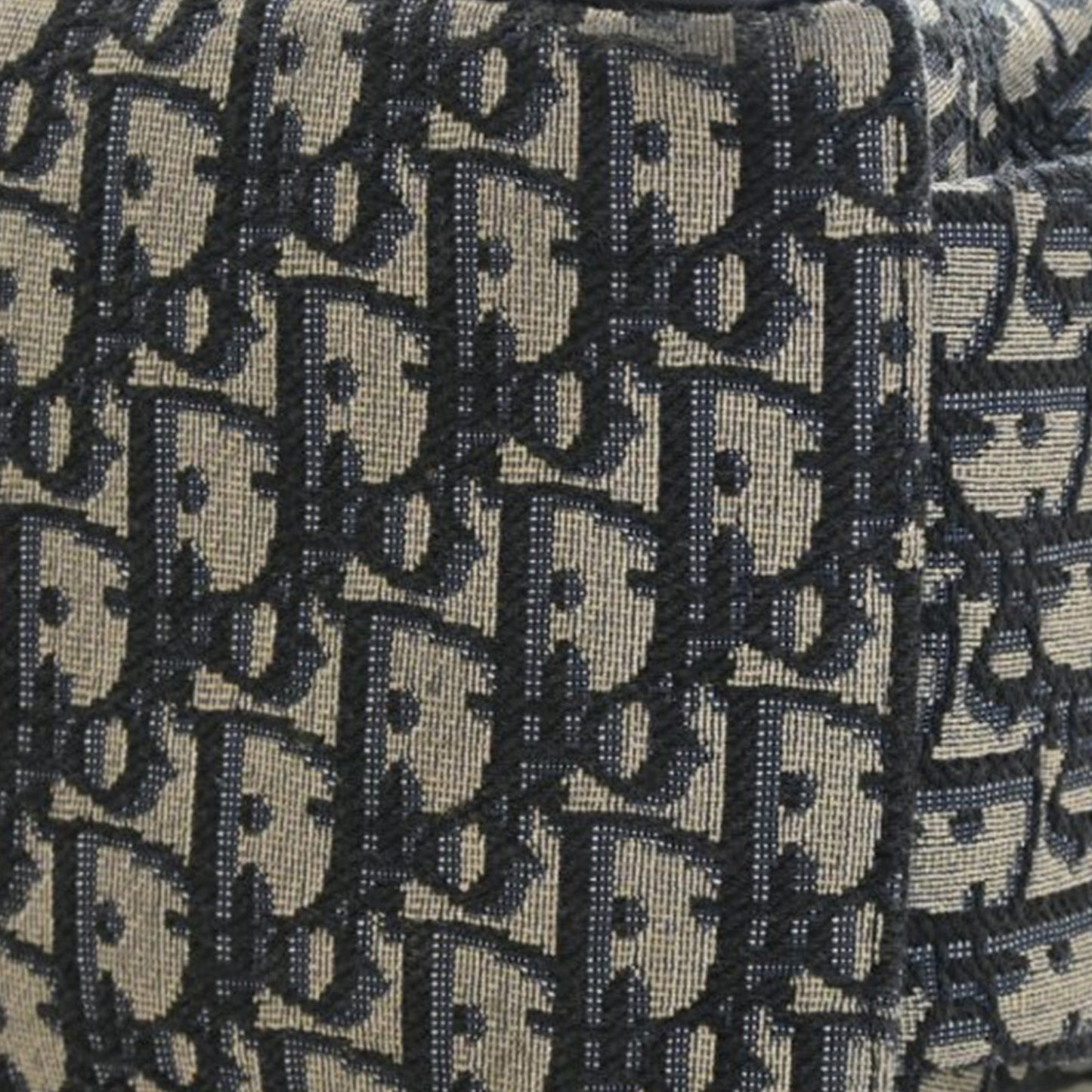 Dior Oblique Canvas Changing Bag