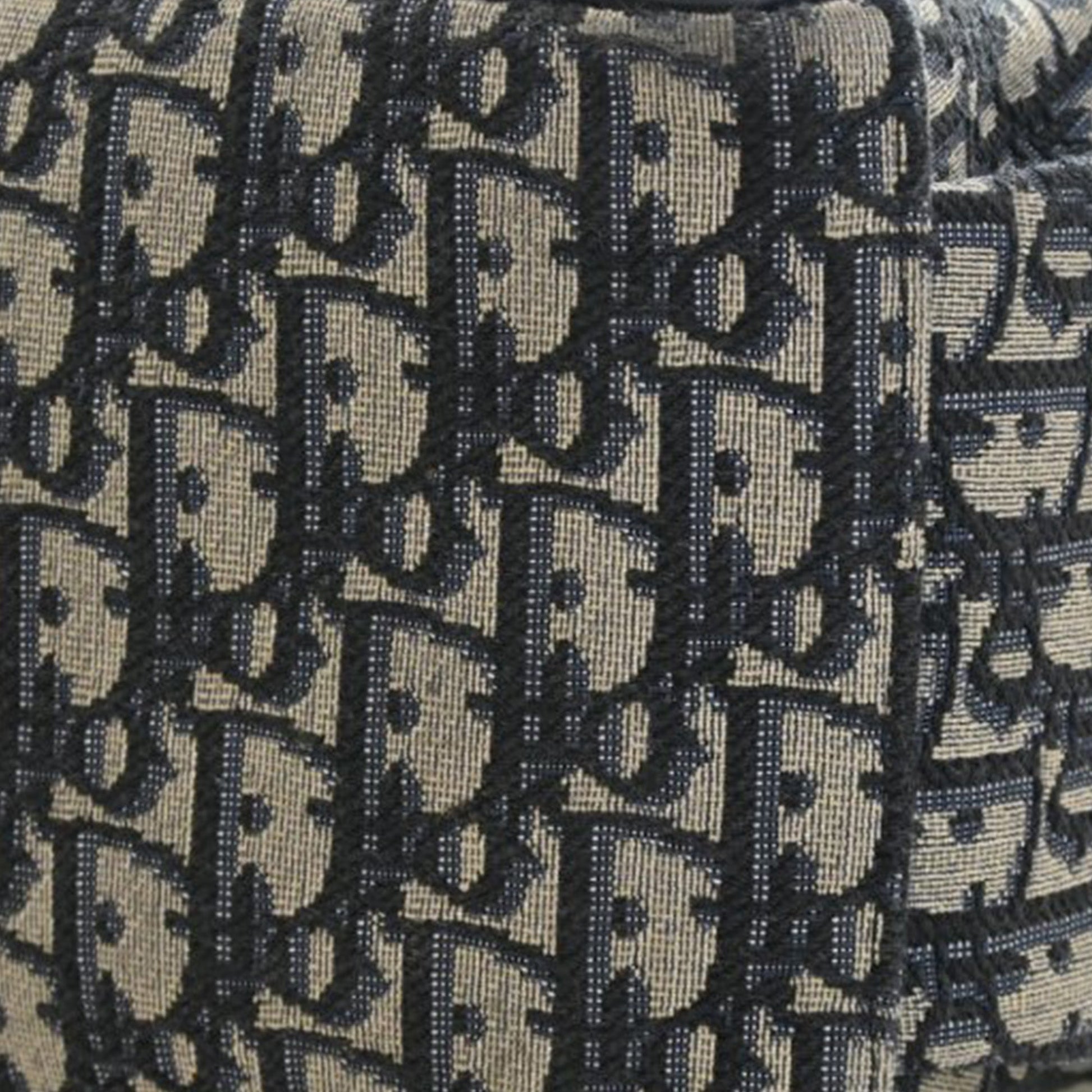 Dior Oblique Canvas Changing Bag
