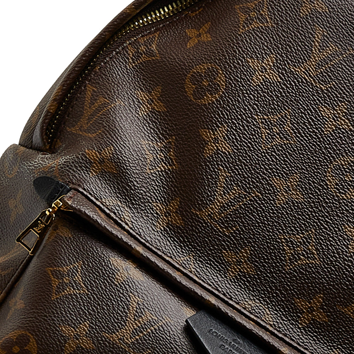 Louis Vuitton Monogram Palm Springs MM