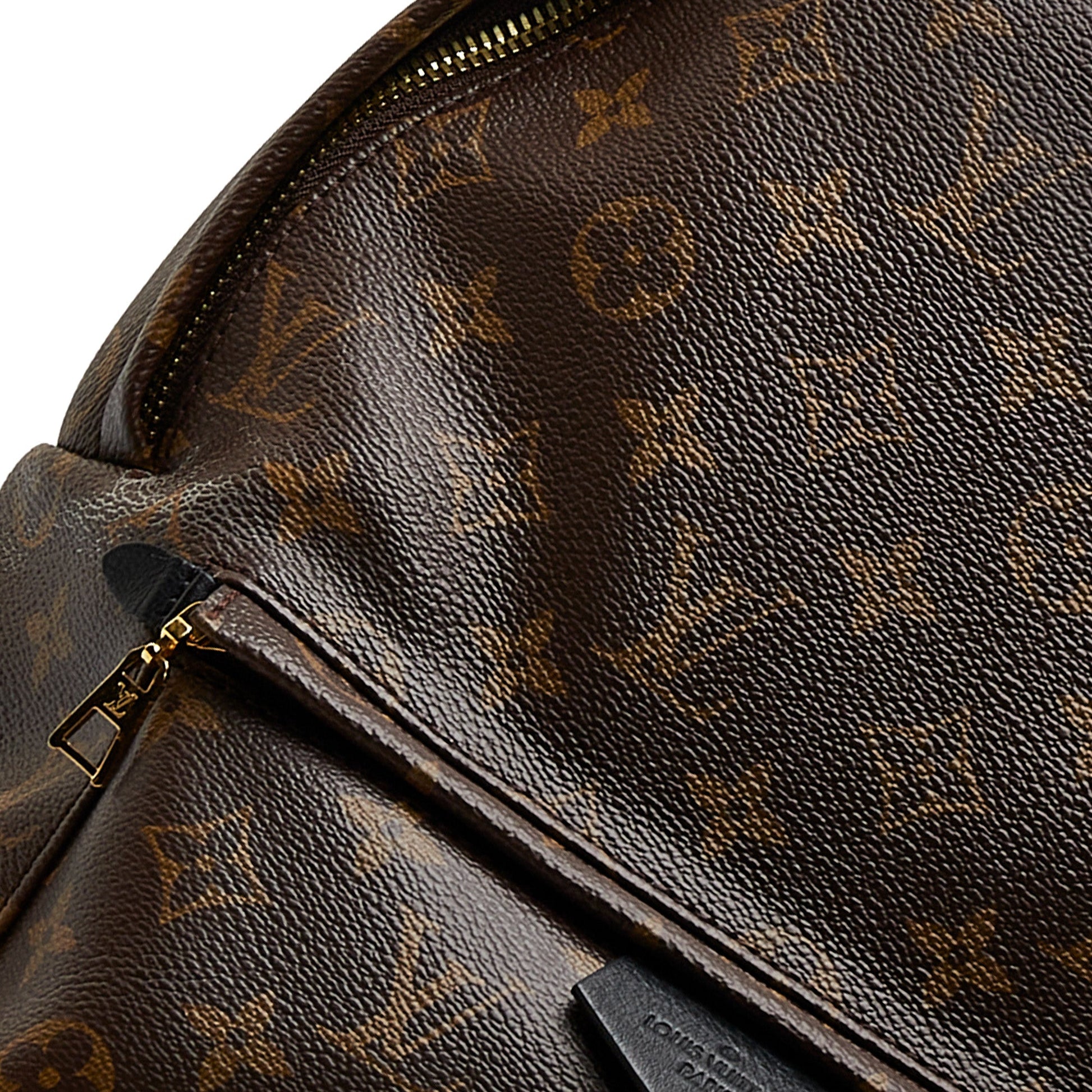 Louis Vuitton Monogram Palm Springs MM