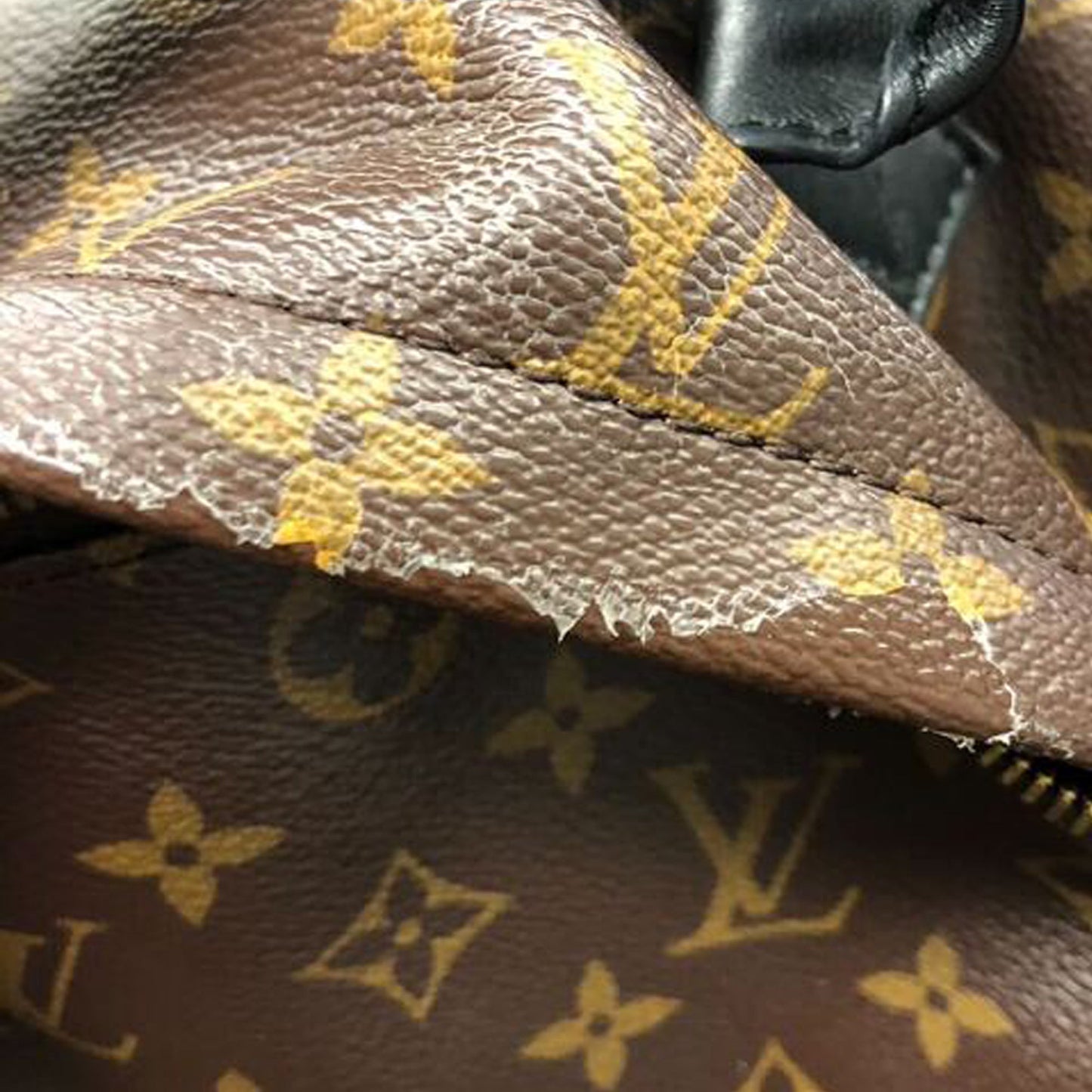 Louis Vuitton Monogram Palm Springs MM