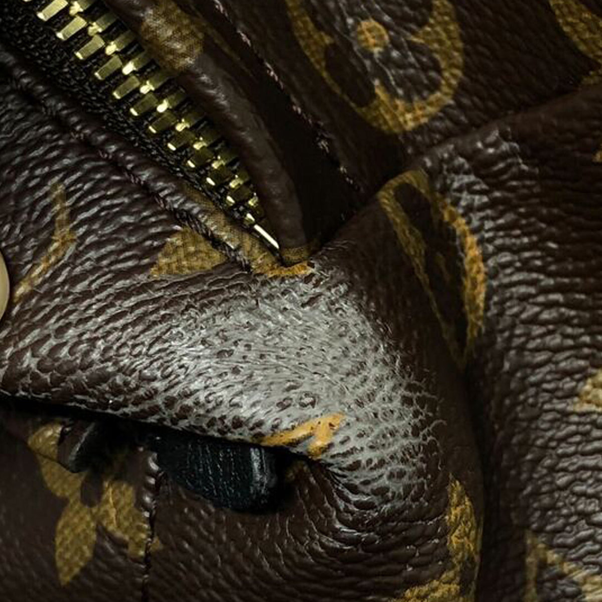 Louis Vuitton Monogram Palm Springs MM