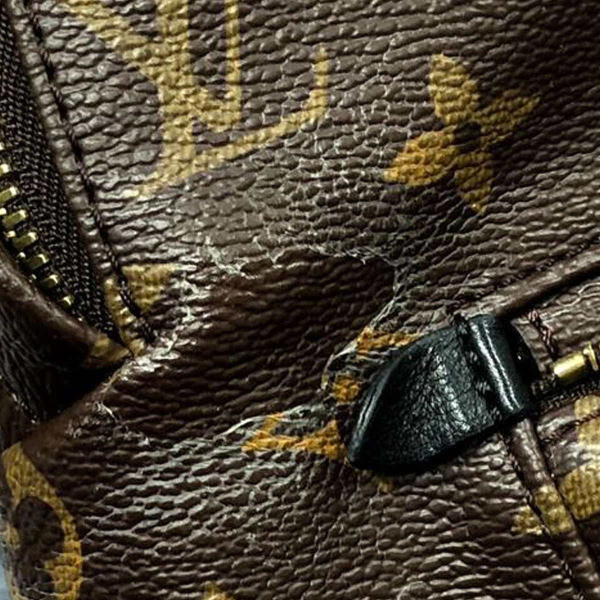 Louis Vuitton Monogram Palm Springs MM